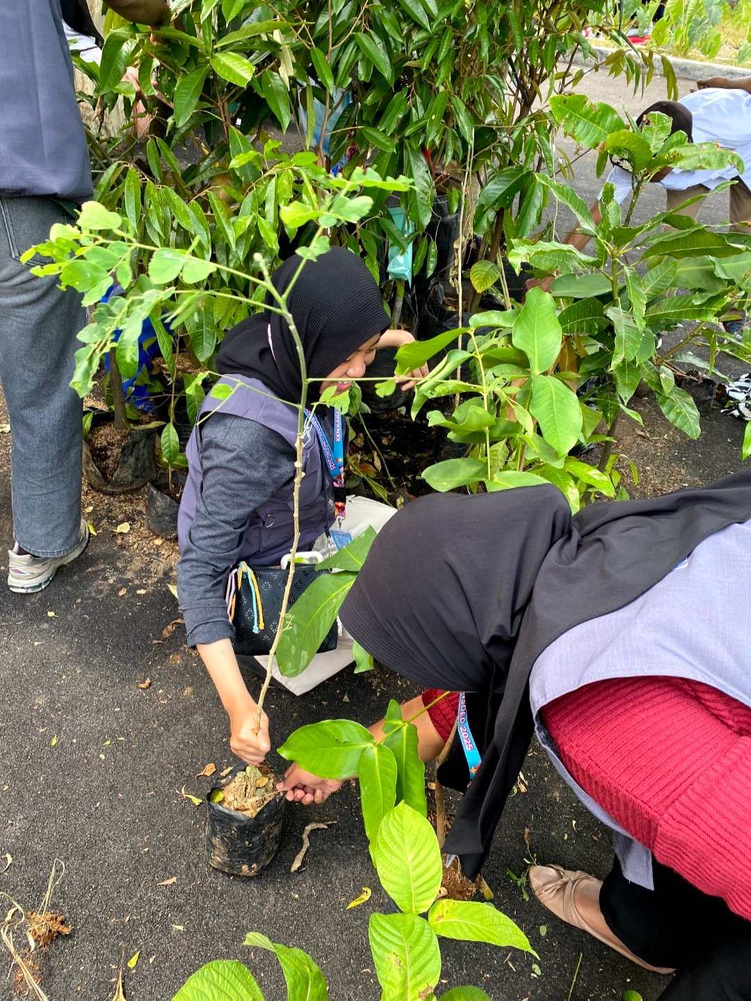 Monitoring bibit multi guna