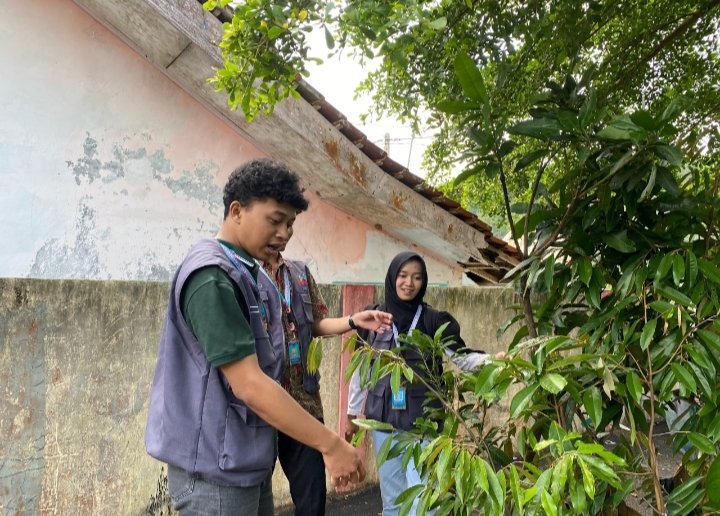 Pengecekan Bibit Tanaman