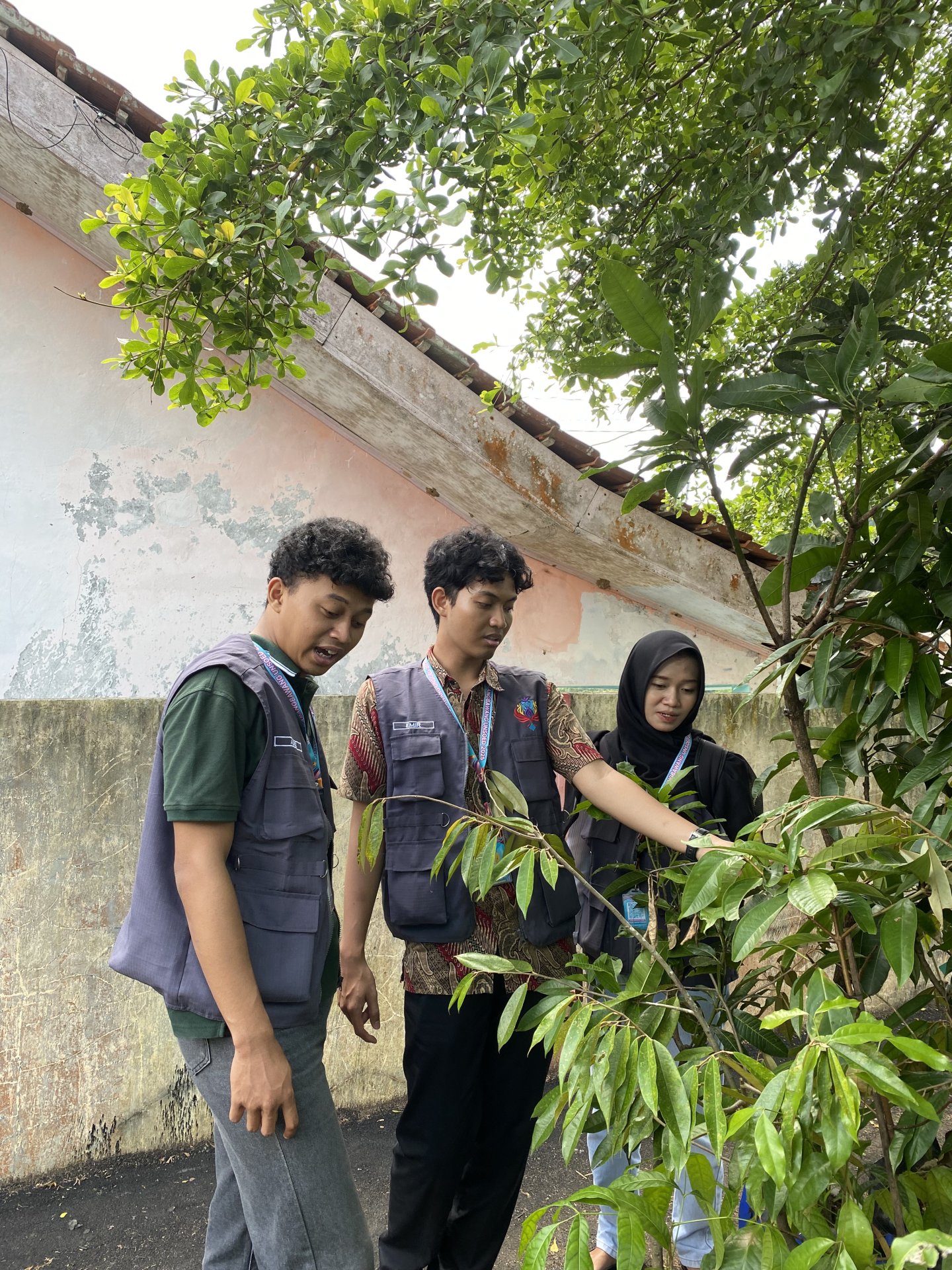 Pengecekan Bibit Tanaman untuk Program Kerja Bidang Lingkungan