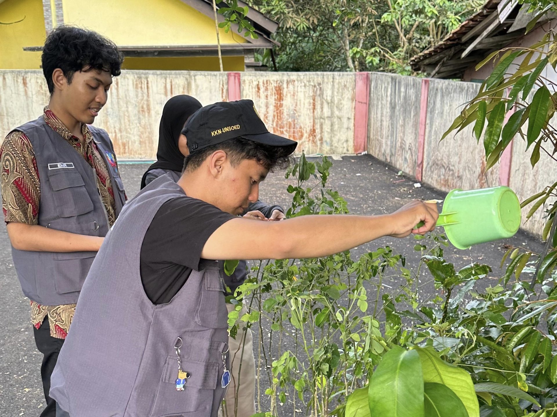 PENINJAUAN ULANG DAN PENYIRAMAN BIBIT TANAMAN