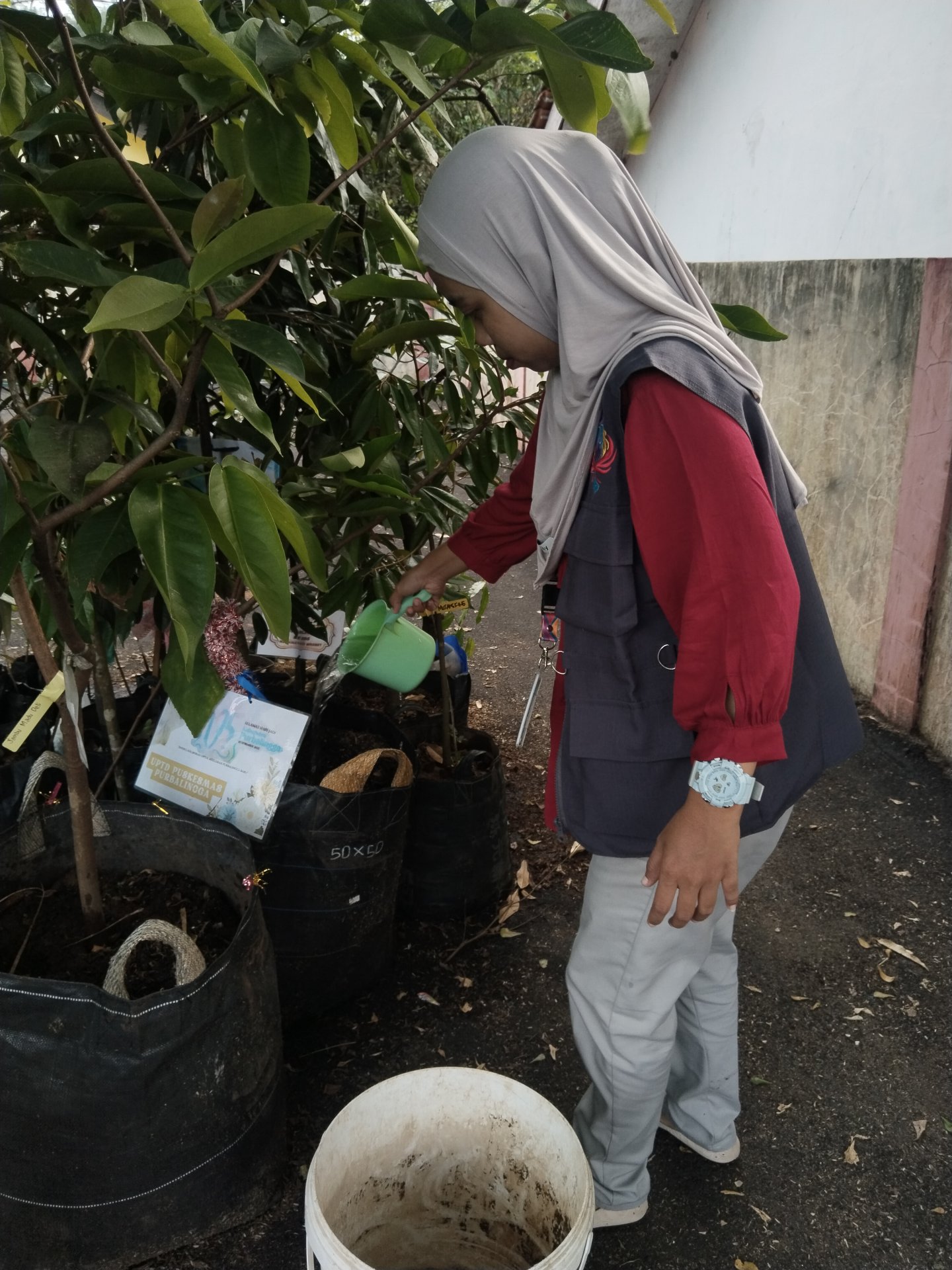 Penyiraman bibit tanaman multiguna