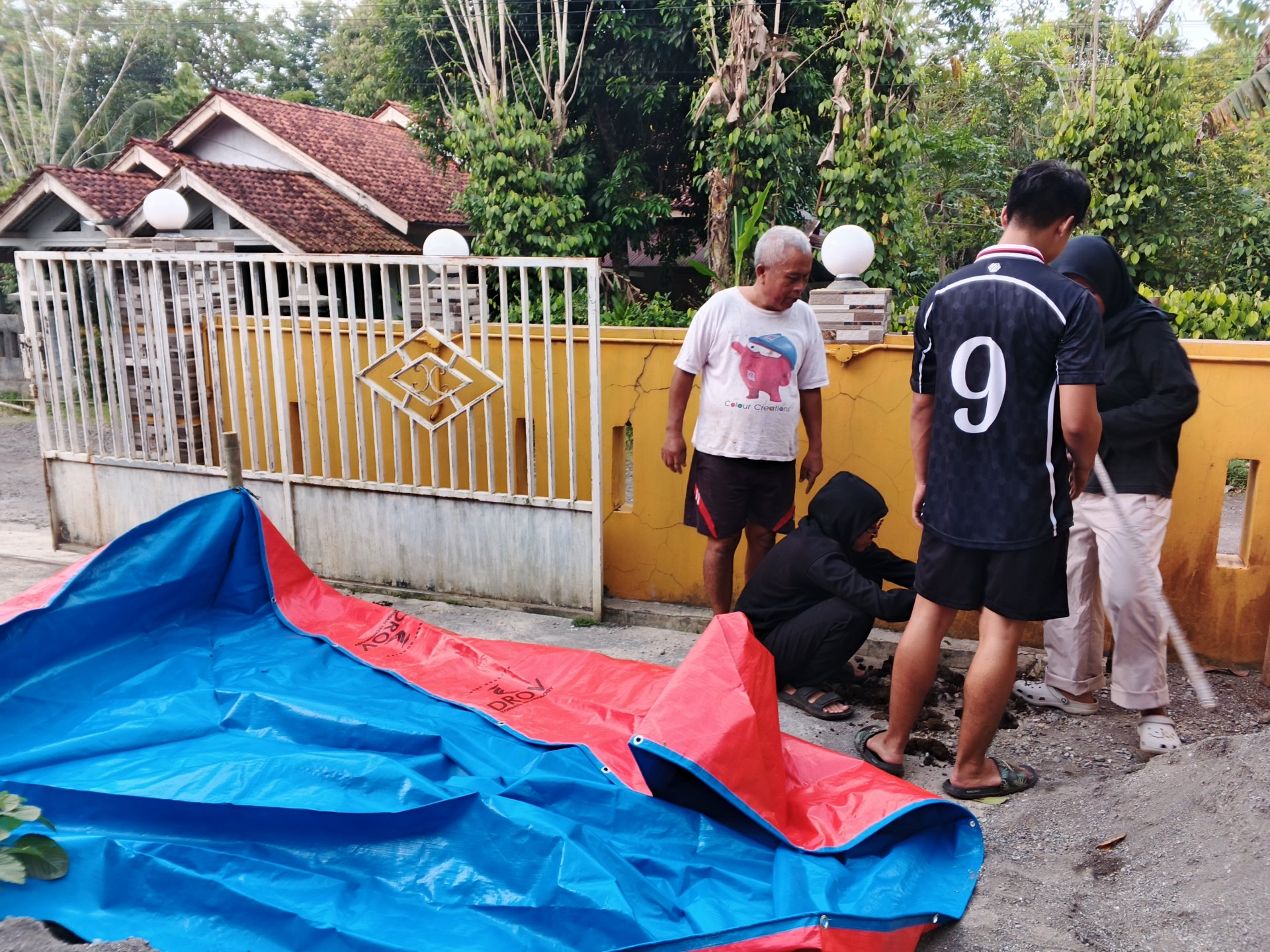Pembuatan Kolam Azolla