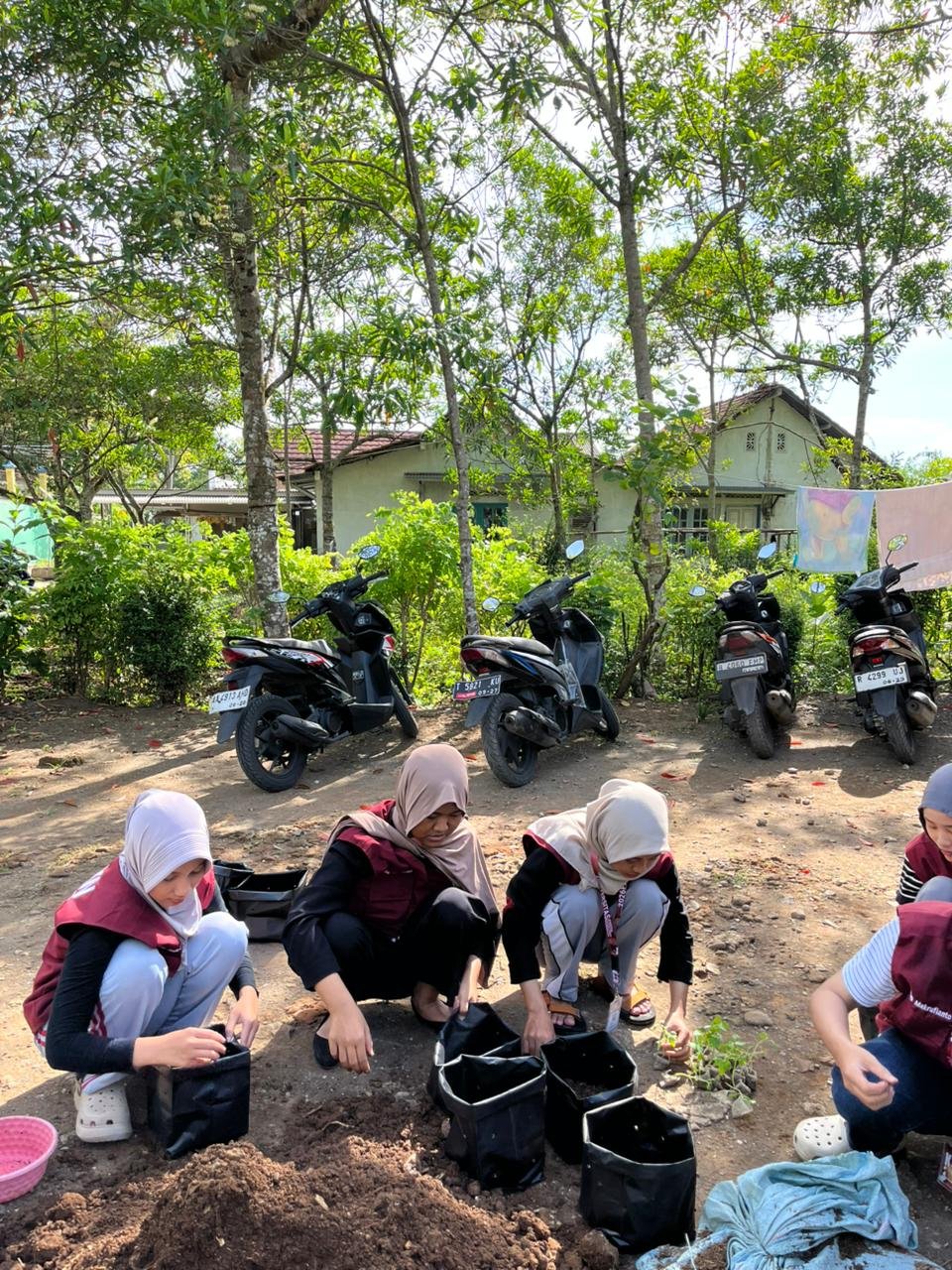 Intensifikasi Pekarangan