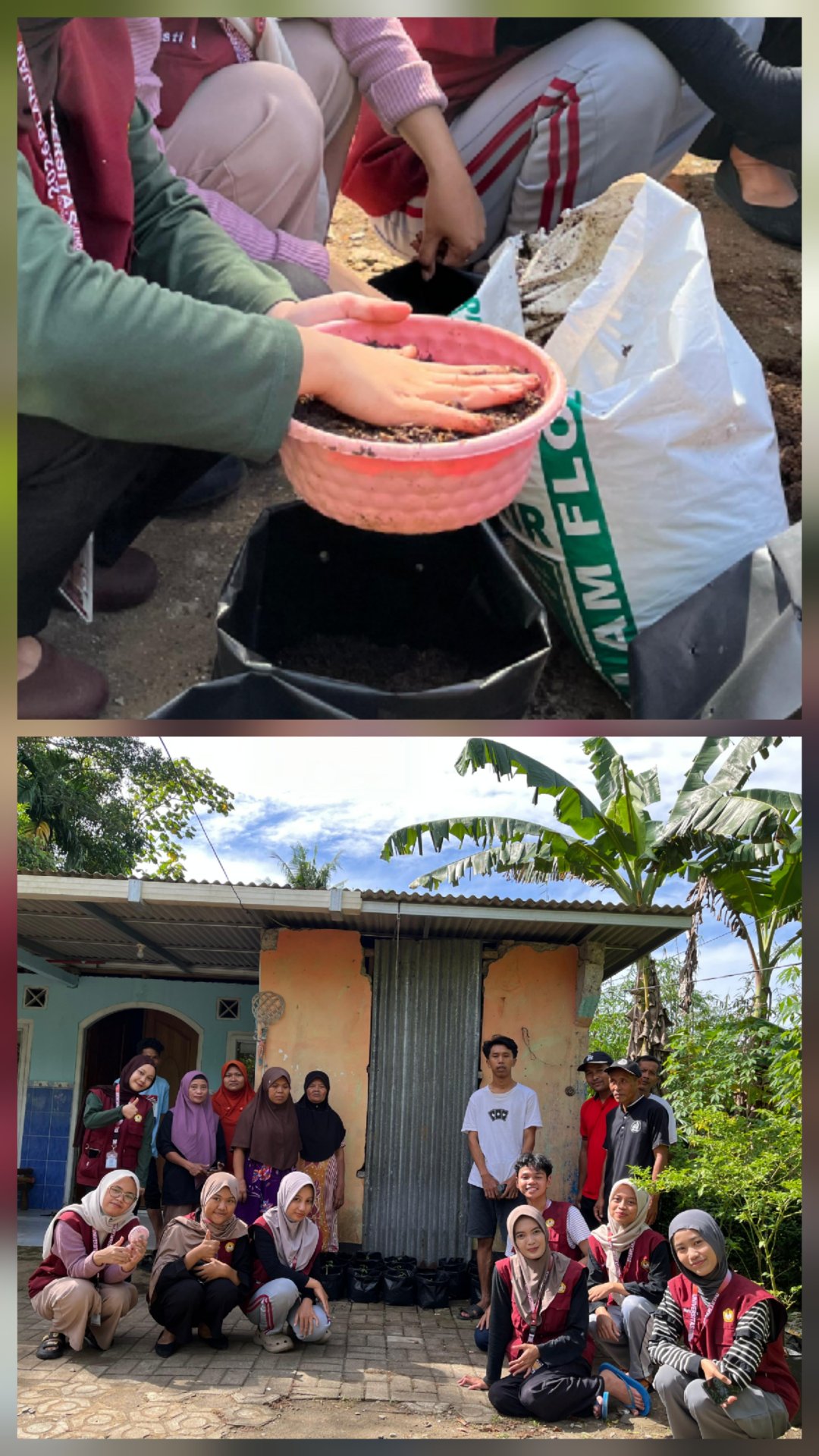 Intensifikasi Pekarangan