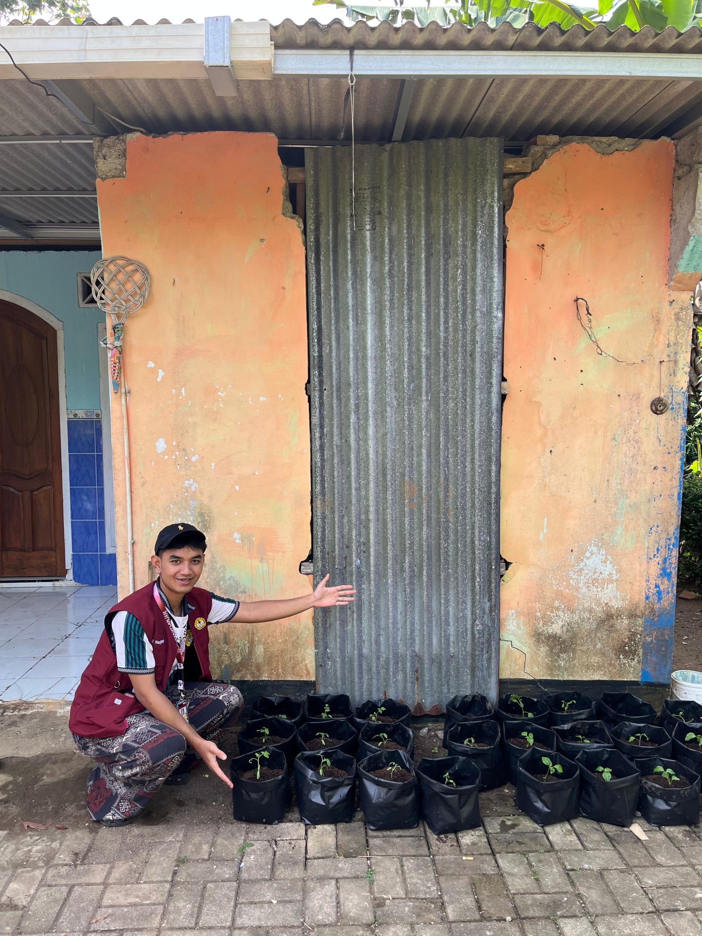 Intensifikasi pekarangan