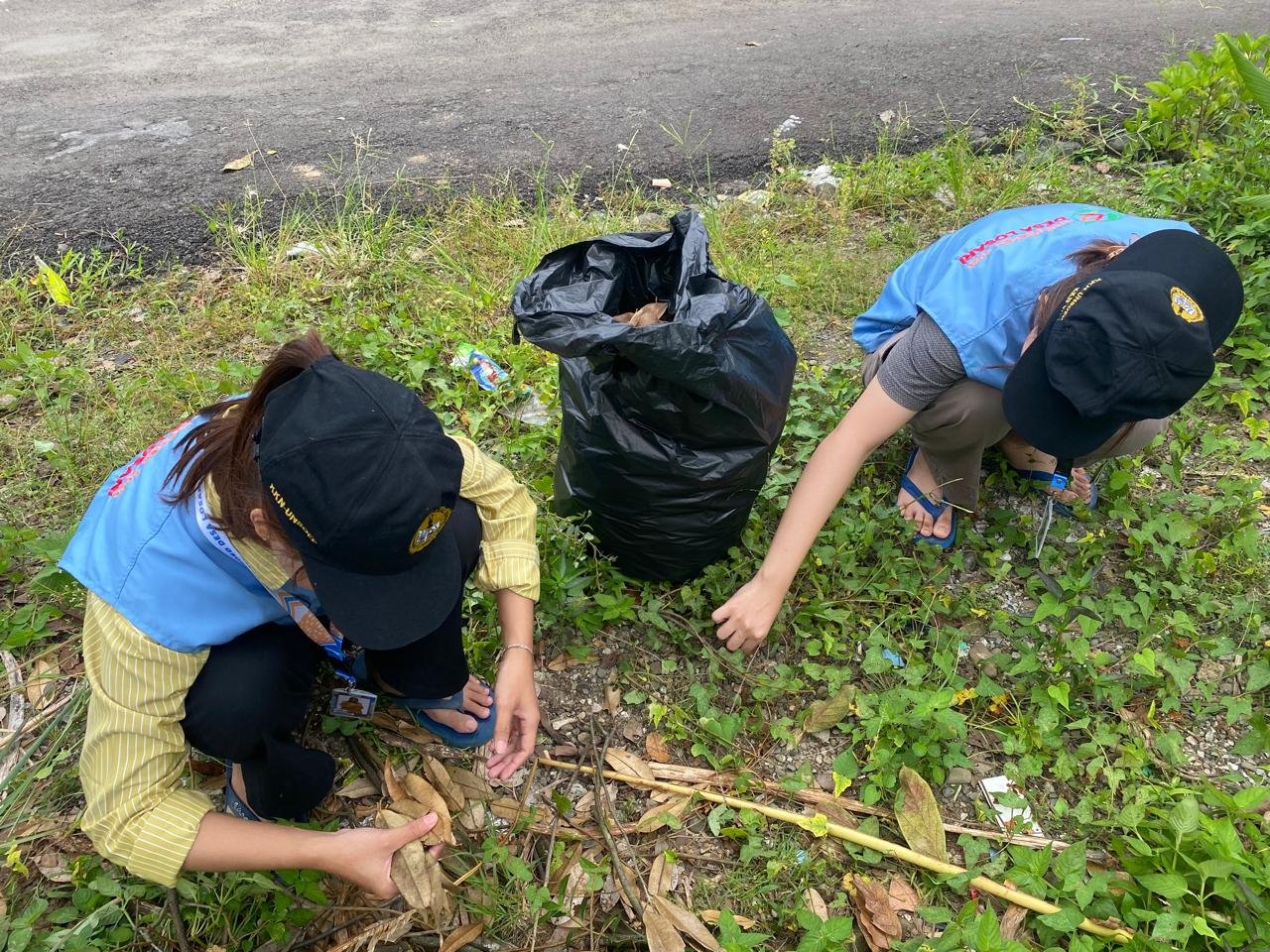 Mengumpulkan Daun Kering untuk Pembuatan Pupuk