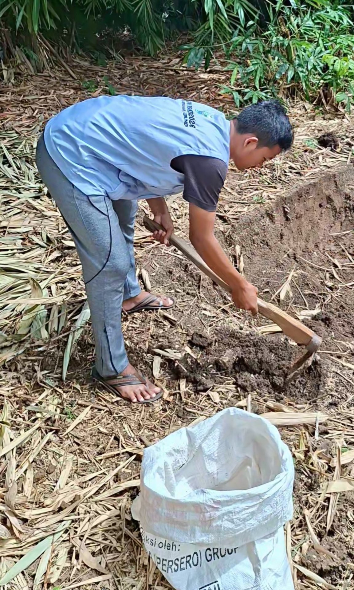 Program kerja lingkungan