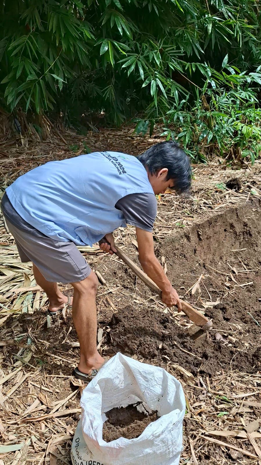 Program Kerja Lingkungan