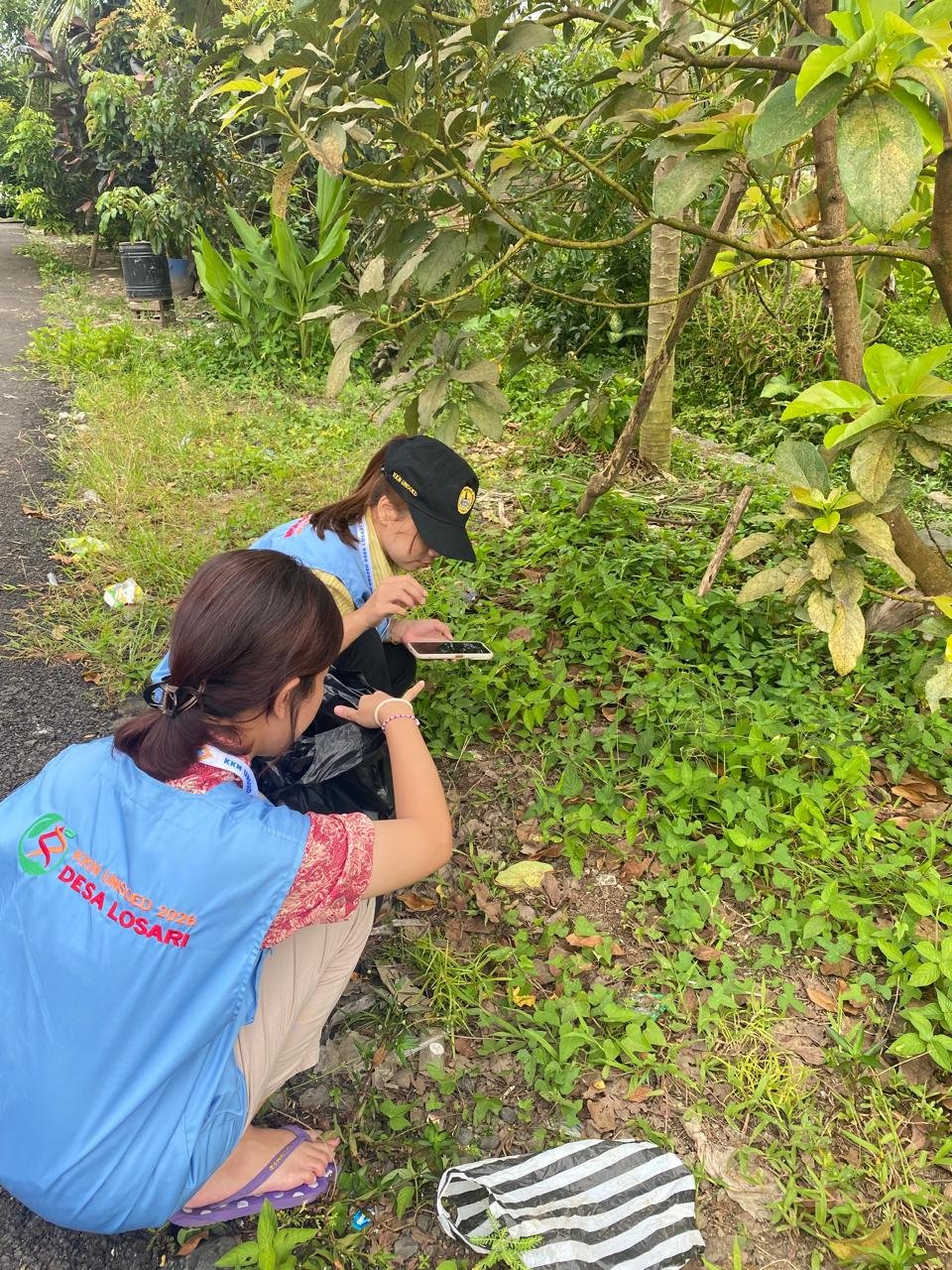 Pengumpulan Daun Kering untuk Persiapan Bahan Pupuk Kompos