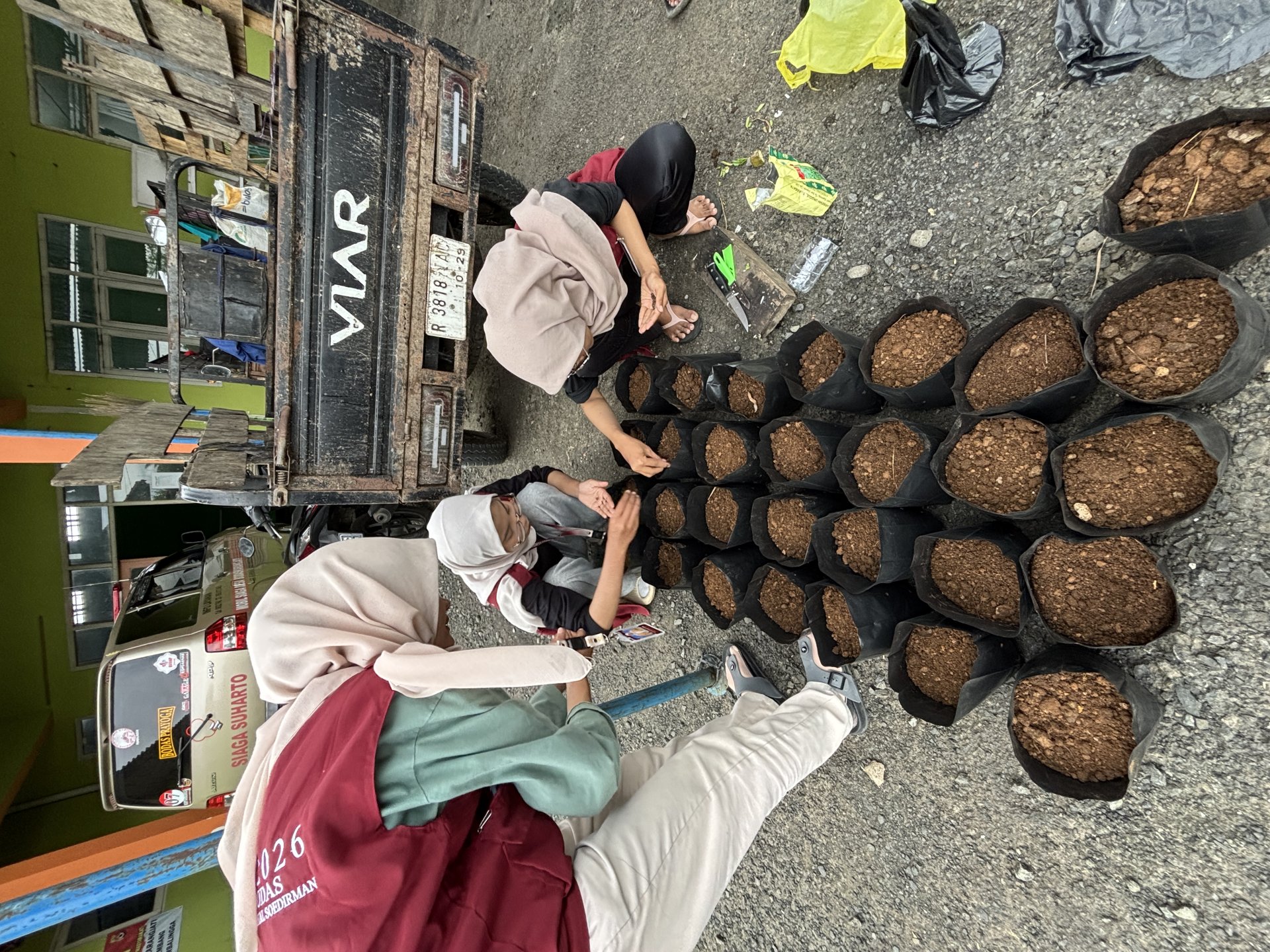 Penanaman Benih Kangkung di Polibag