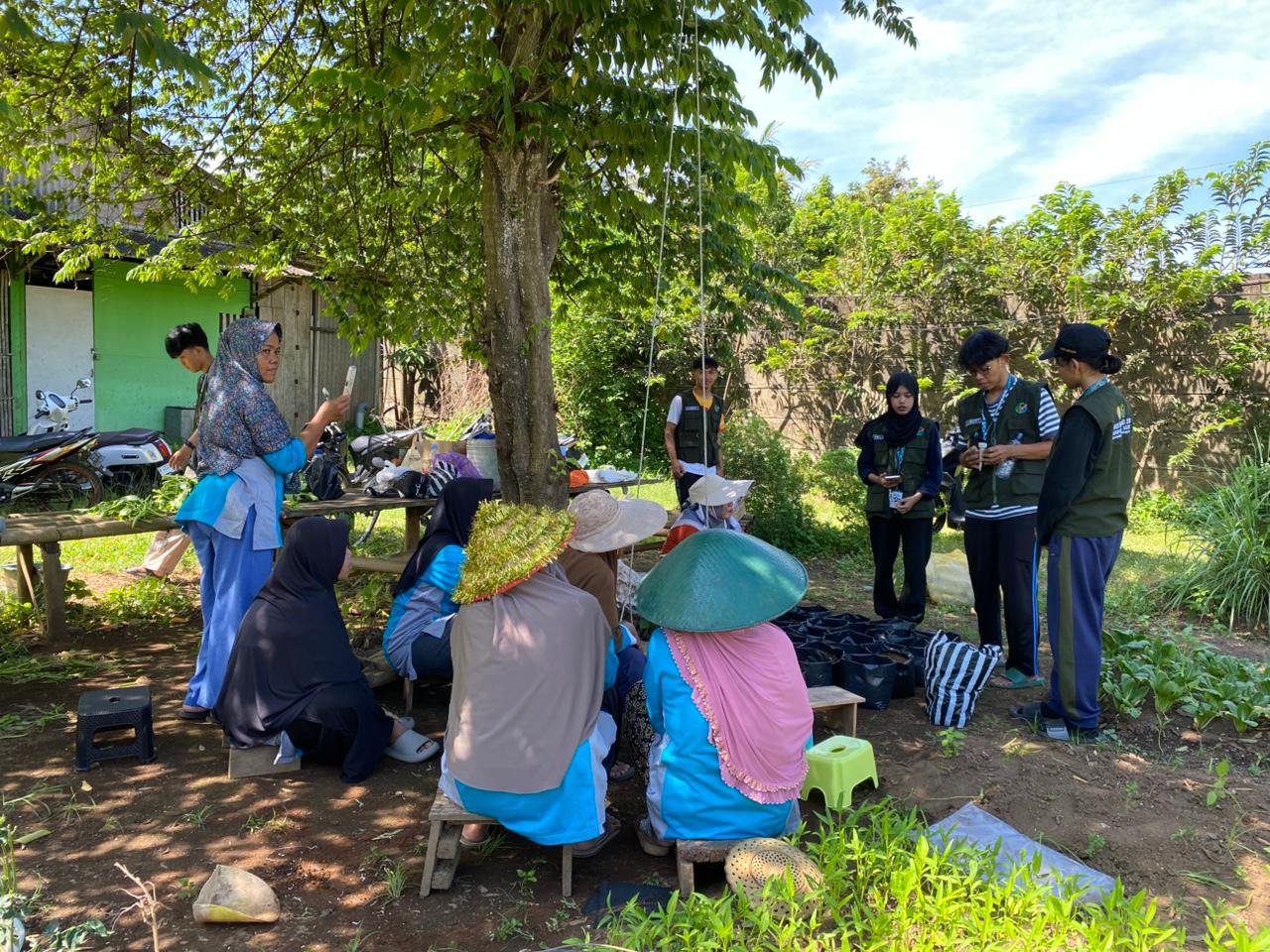 Intensifikasi Pekarangan Desa