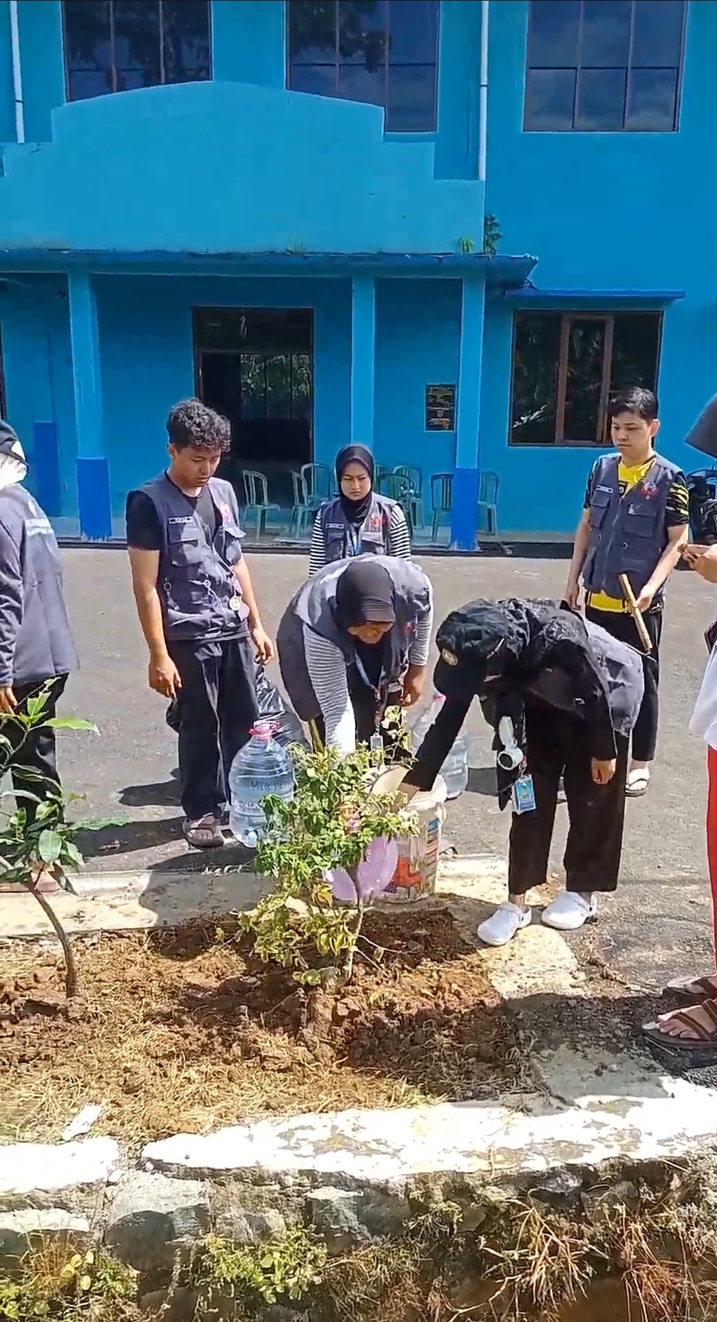 Sosialisasi dan penanaman bibit multiguna