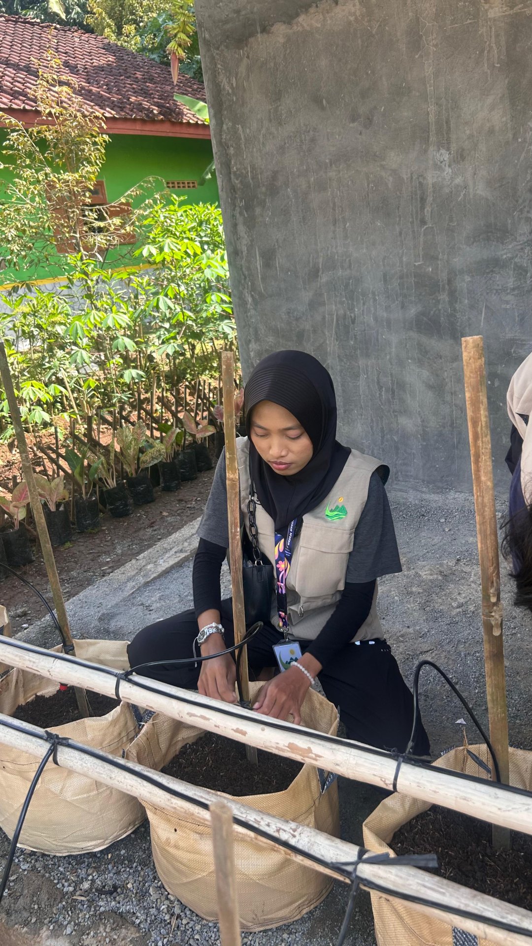 senam aerobik & persiapan planter bag