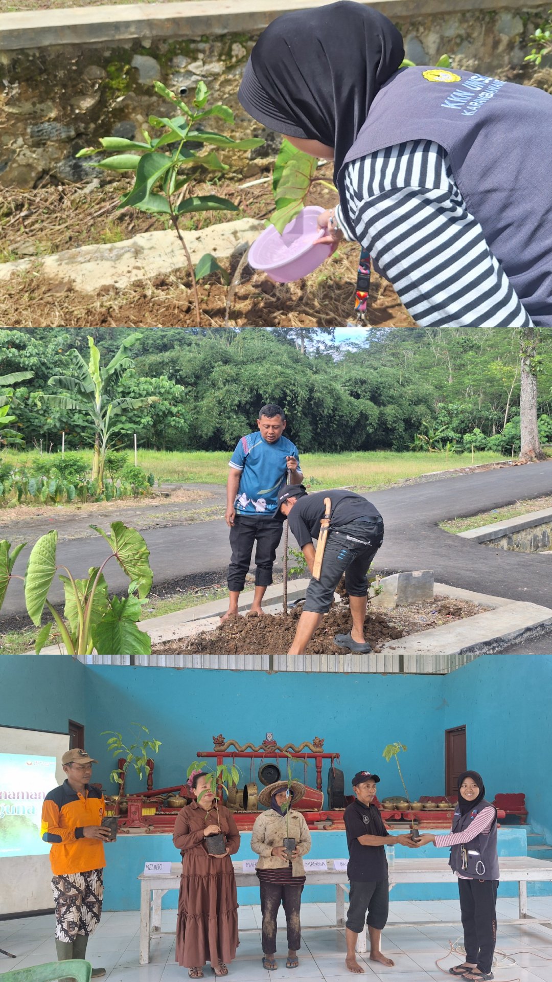 Penanaman Pohon Multiguna di Desa Karangbawang