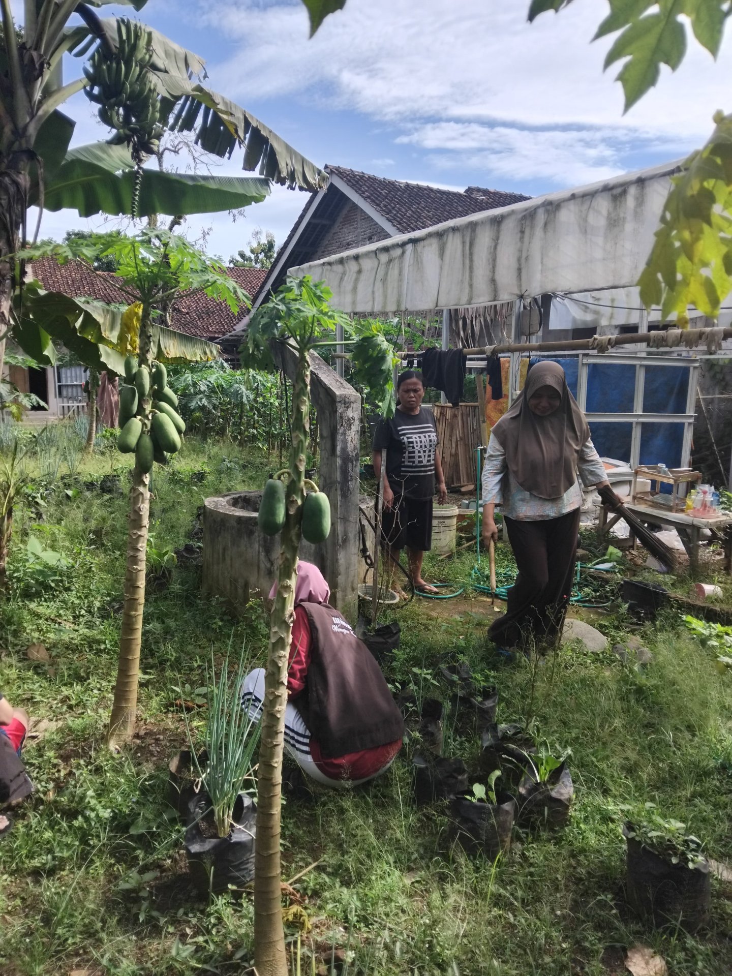 Persiapan Lahan Untuk Proker Intensifikasi Pekarangan Bersama KWT Dewi Sri