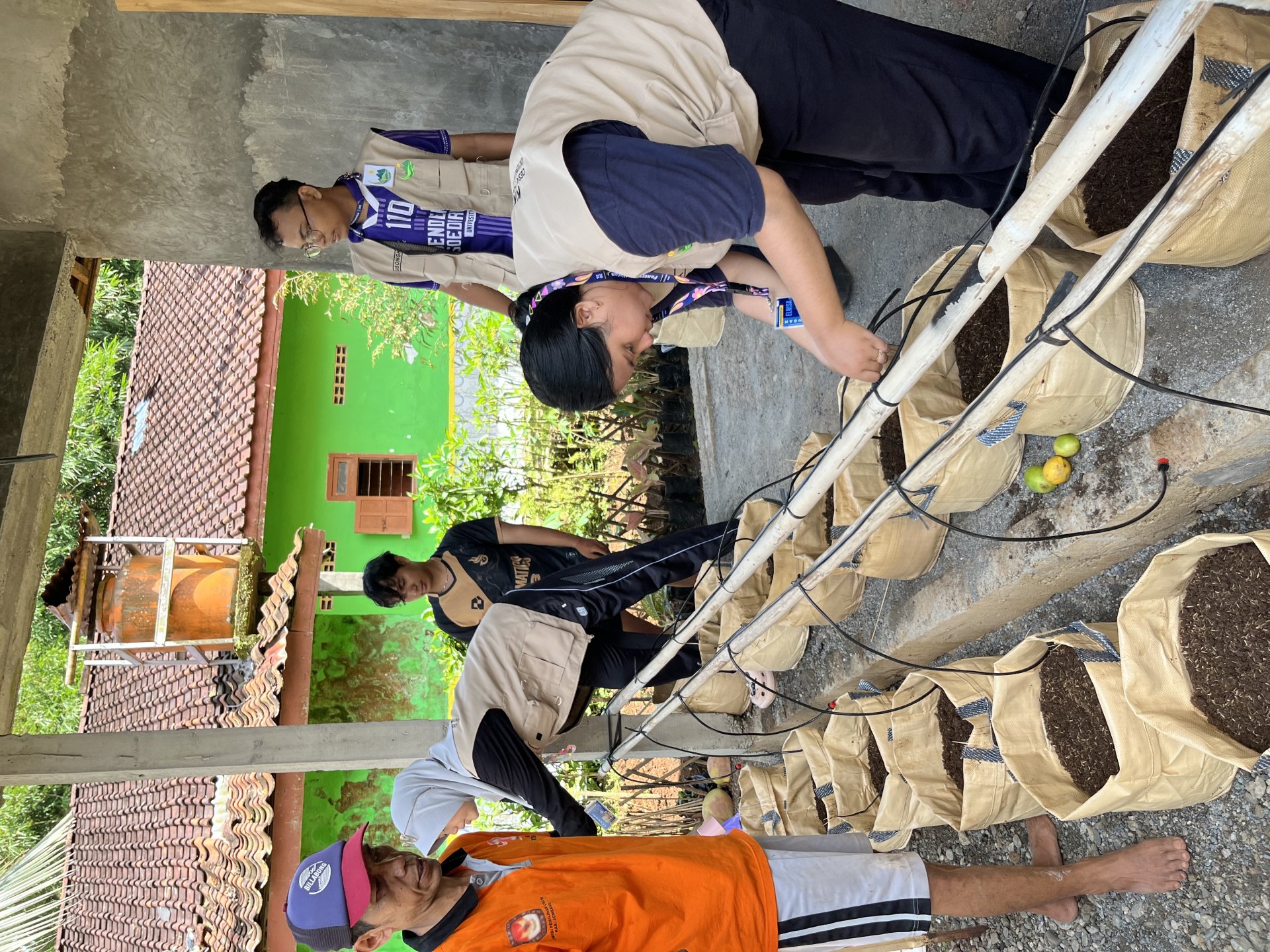 Perancangan Sistem Irigasi Tetes pada Planterbag