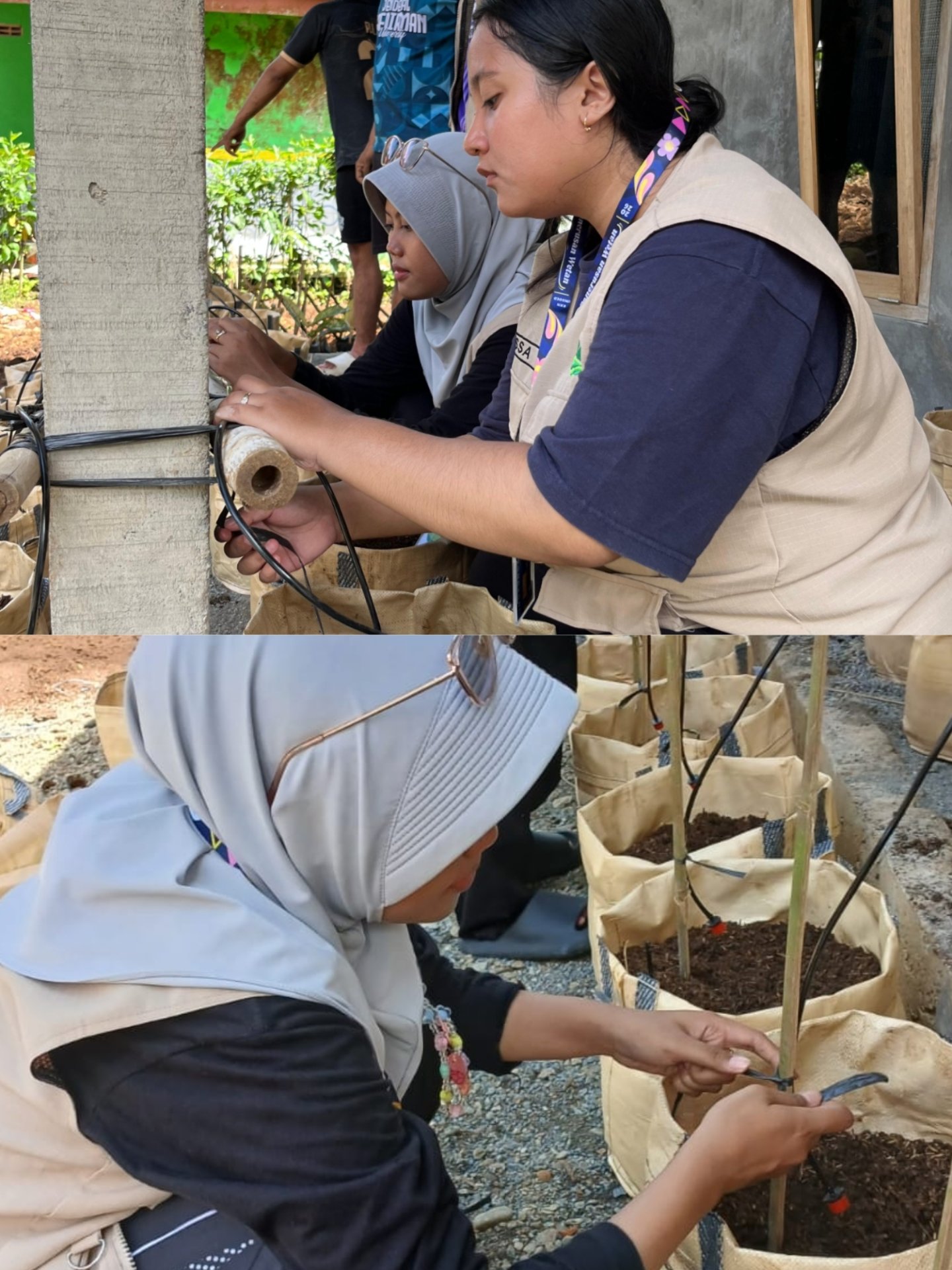 Perancangan Sistem Irigasi Tetes pada Planter Bag