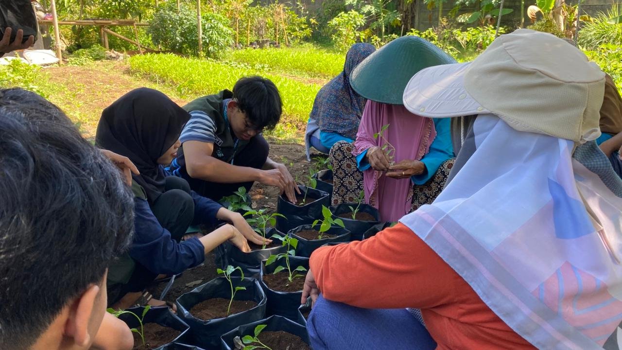 Intensifikasi Pekarangan dan Iritasi Tetes bersama Kelompok Wanita Tani
