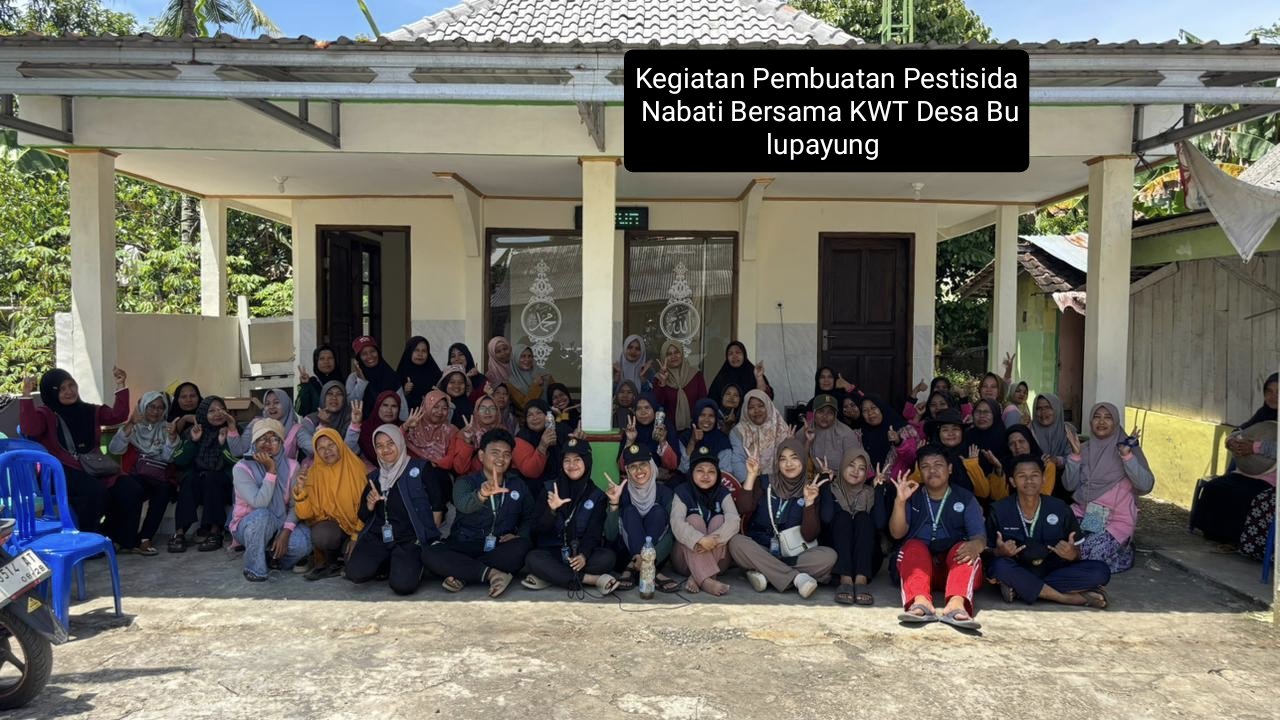 Intensifikasi Pekarangan Tanaman Cabai Dengan Polybag & Pembuatan Pestisida Nabati