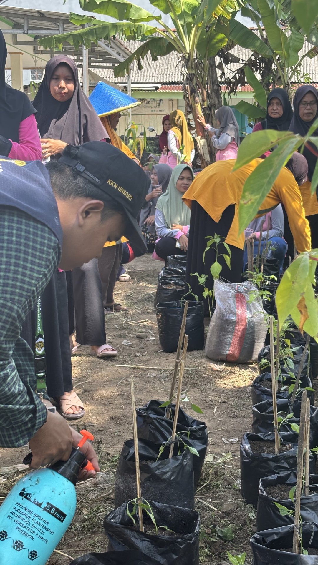 Intensifikasi pekarangan dan pembuatan pestisida nabati