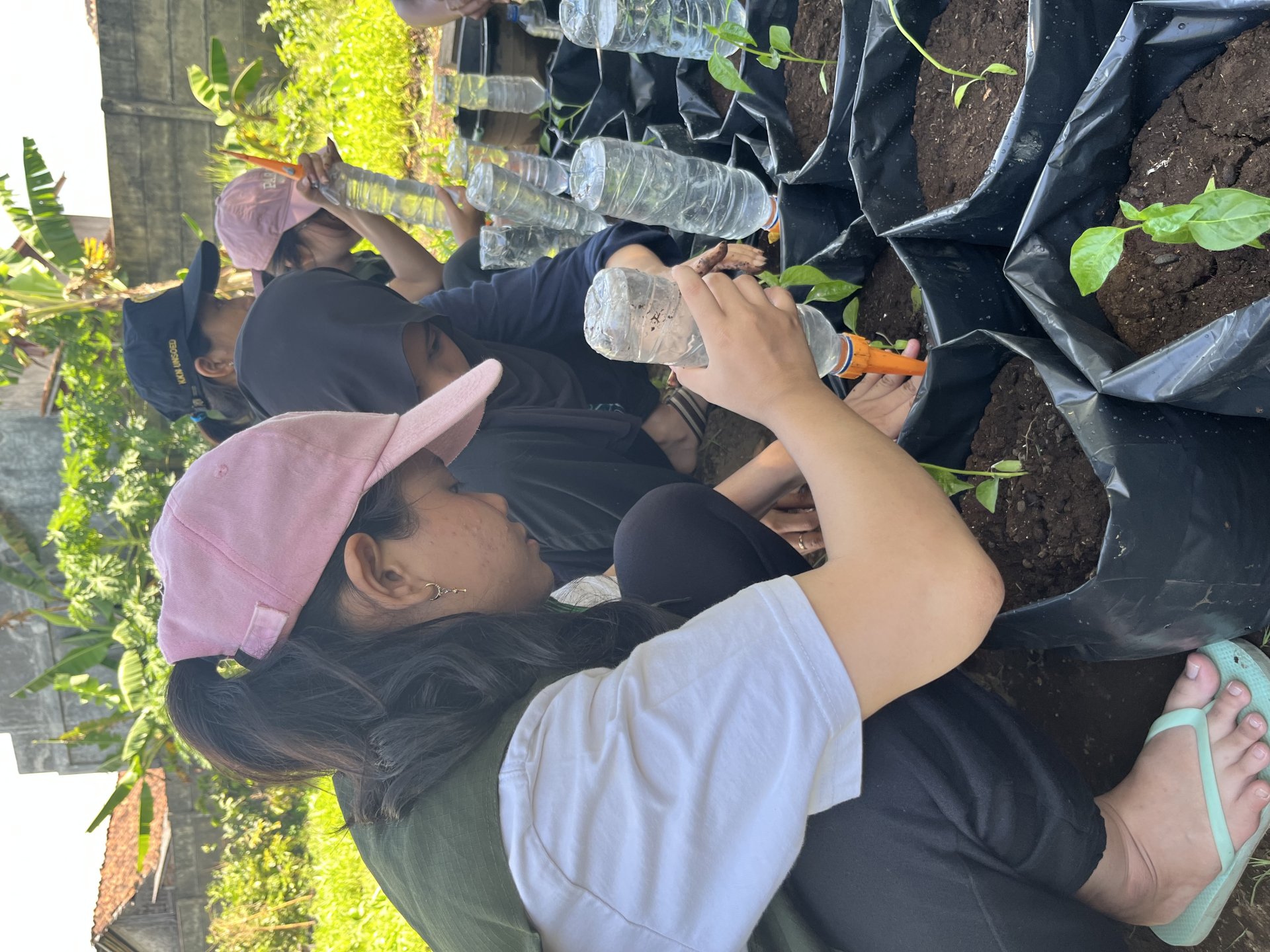 Intensifikasi Pekarangan Desa