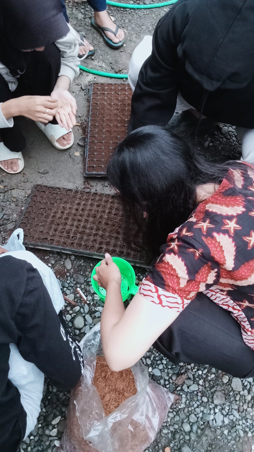 Hari keempat KKN menyemai benih pakcoy