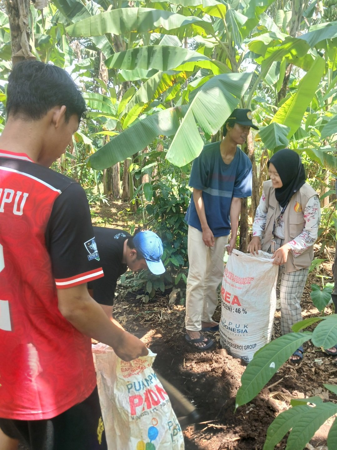 Persiapan bibit dan media tanam