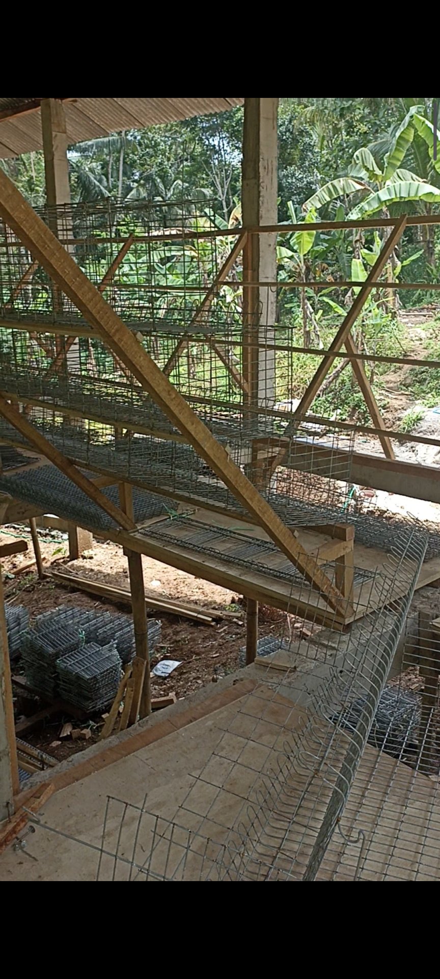 Day 4 Pembuatan Kandang baterai Bumdes ayam petelur