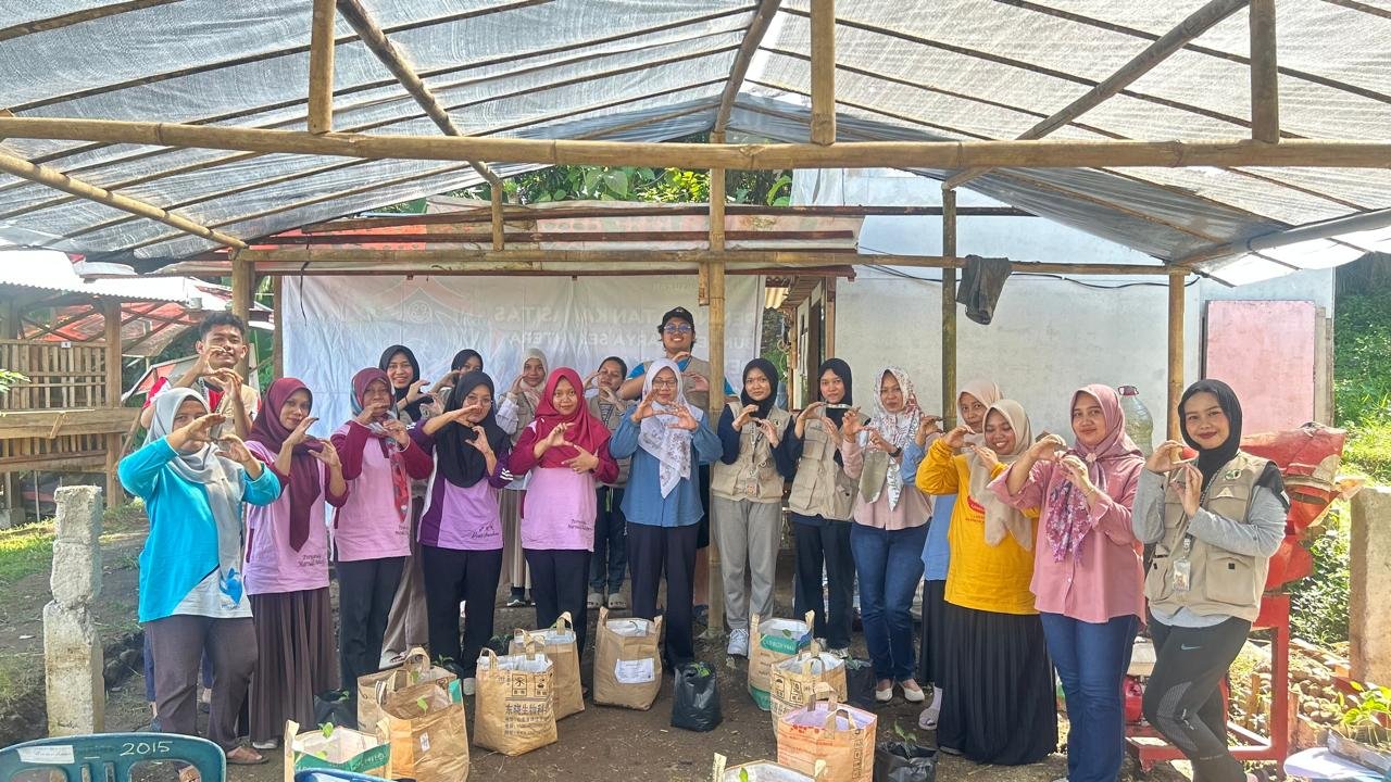 Penanaman Tanaman Cabai dan Terong di planter bag dan polybag