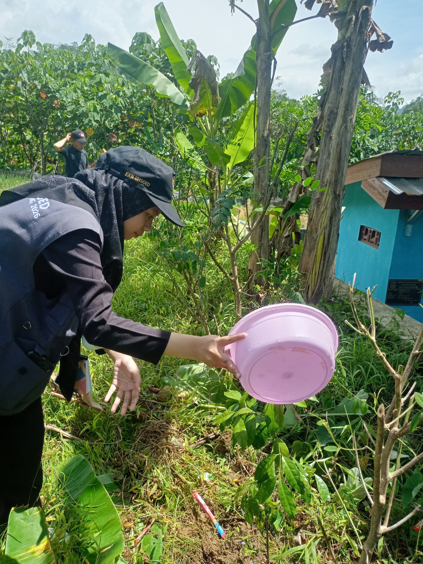 Penanaman pohon di desa Karangbawang