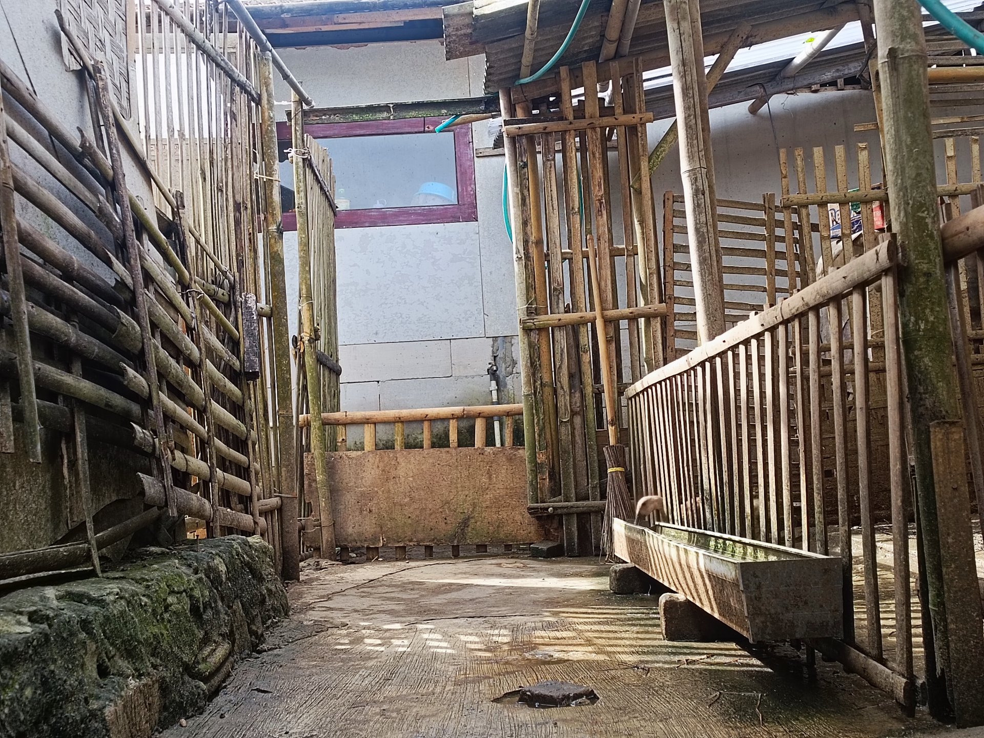 Pembuatan Company Profile UMKM Telur Asin dengan Pengambilan dan Pembuatan Video