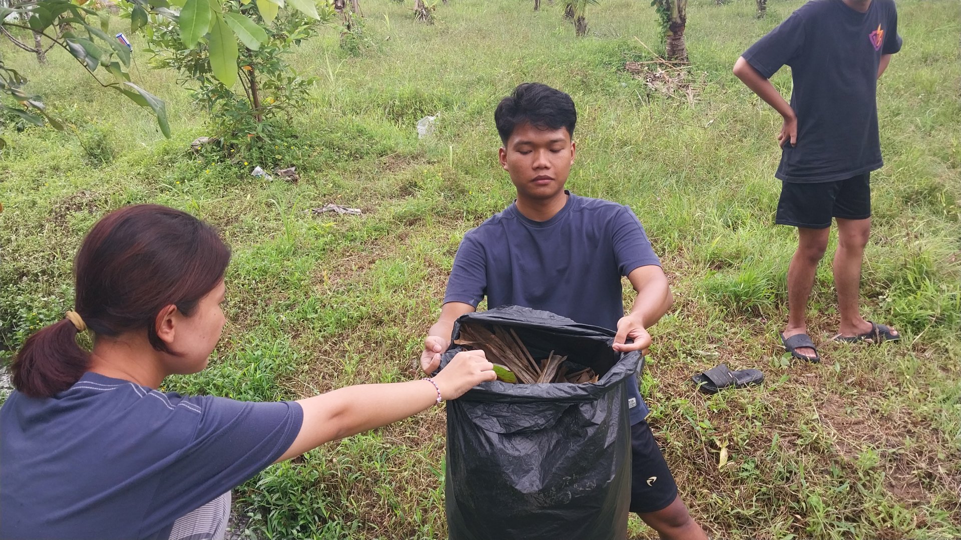 Pengumpulan Daun Kering untuk Pupuk Kompos
