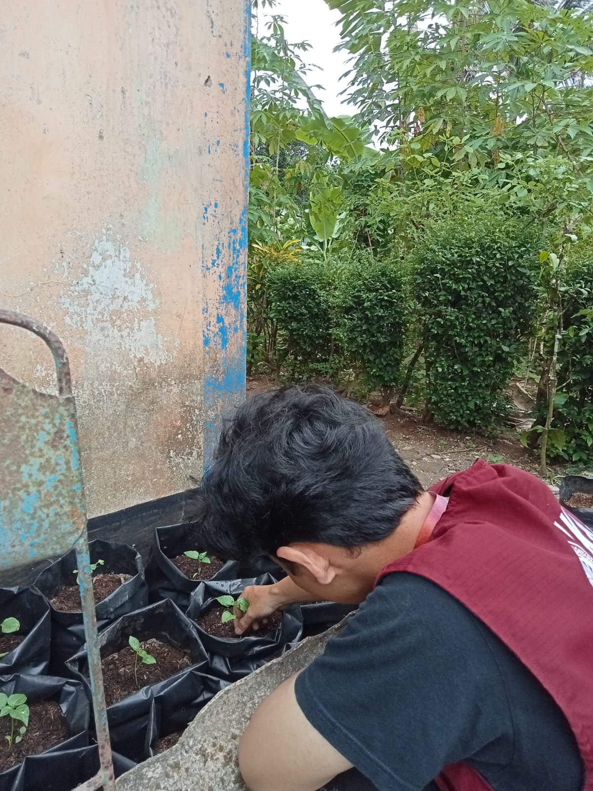 CONTROLLING INTENSIFIKASI PEKARANGAN