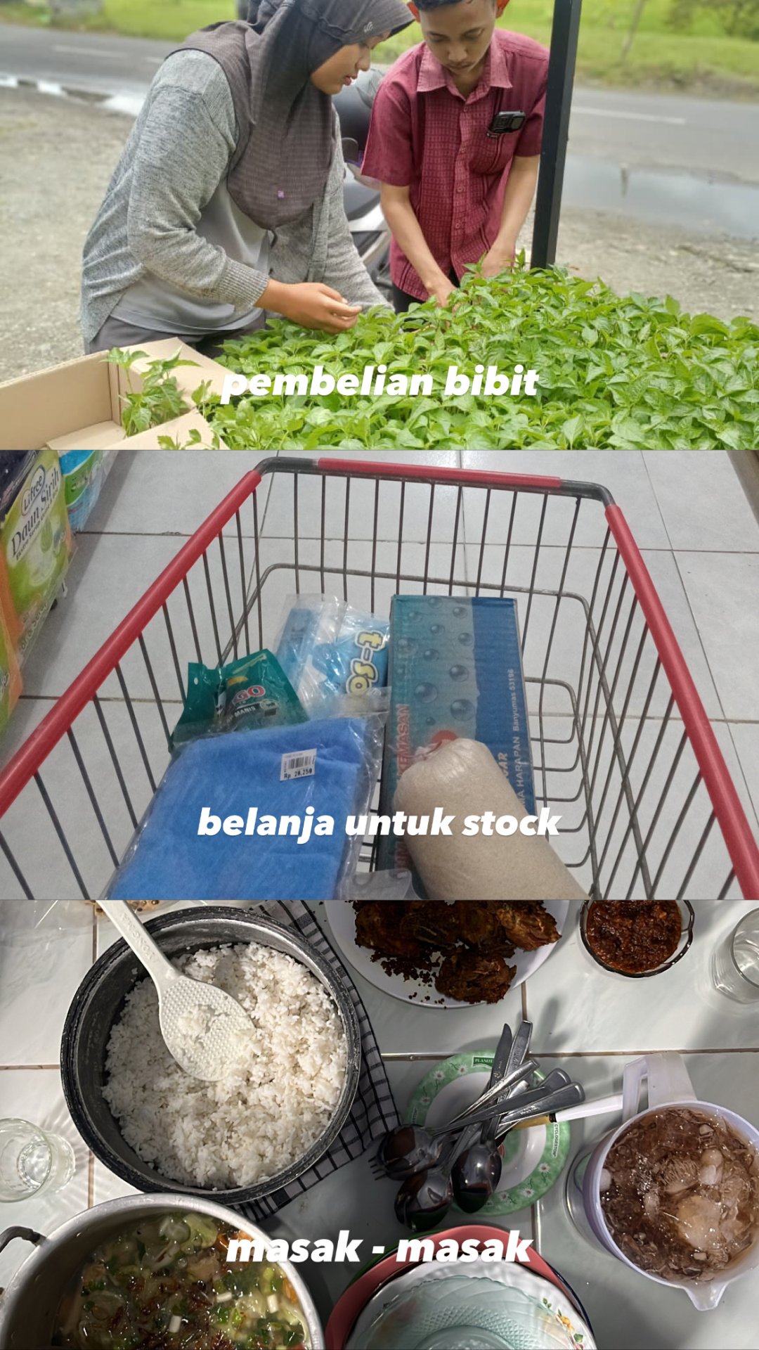 minggu produktif