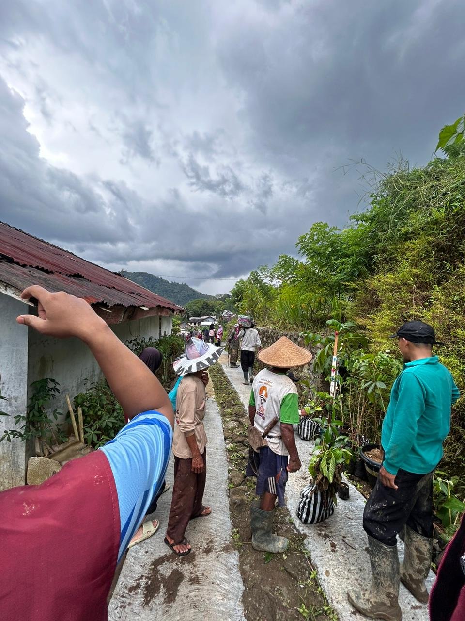 Kegiatan penanaman pohon berkayu