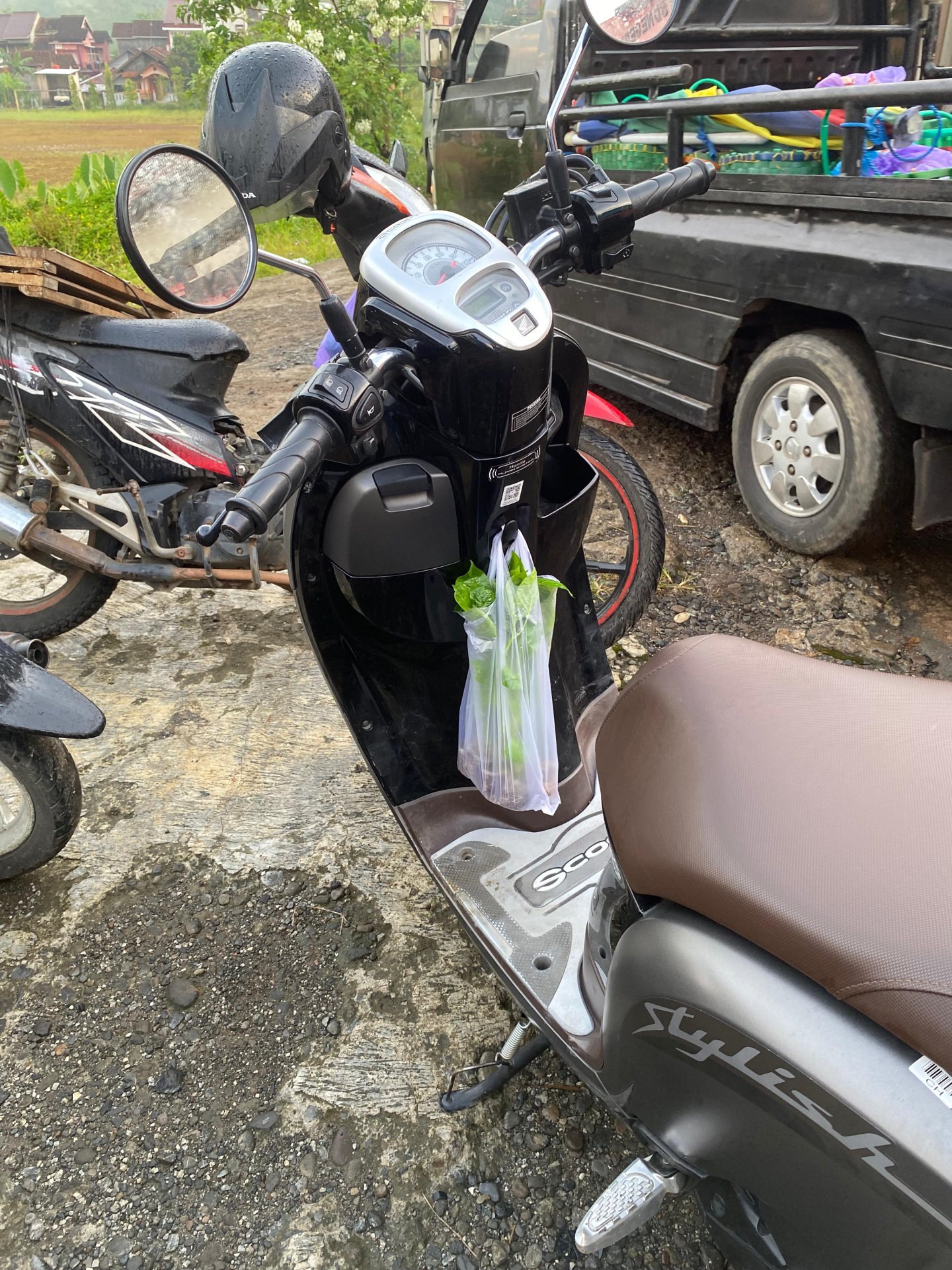 Pembelian bibit tanaman