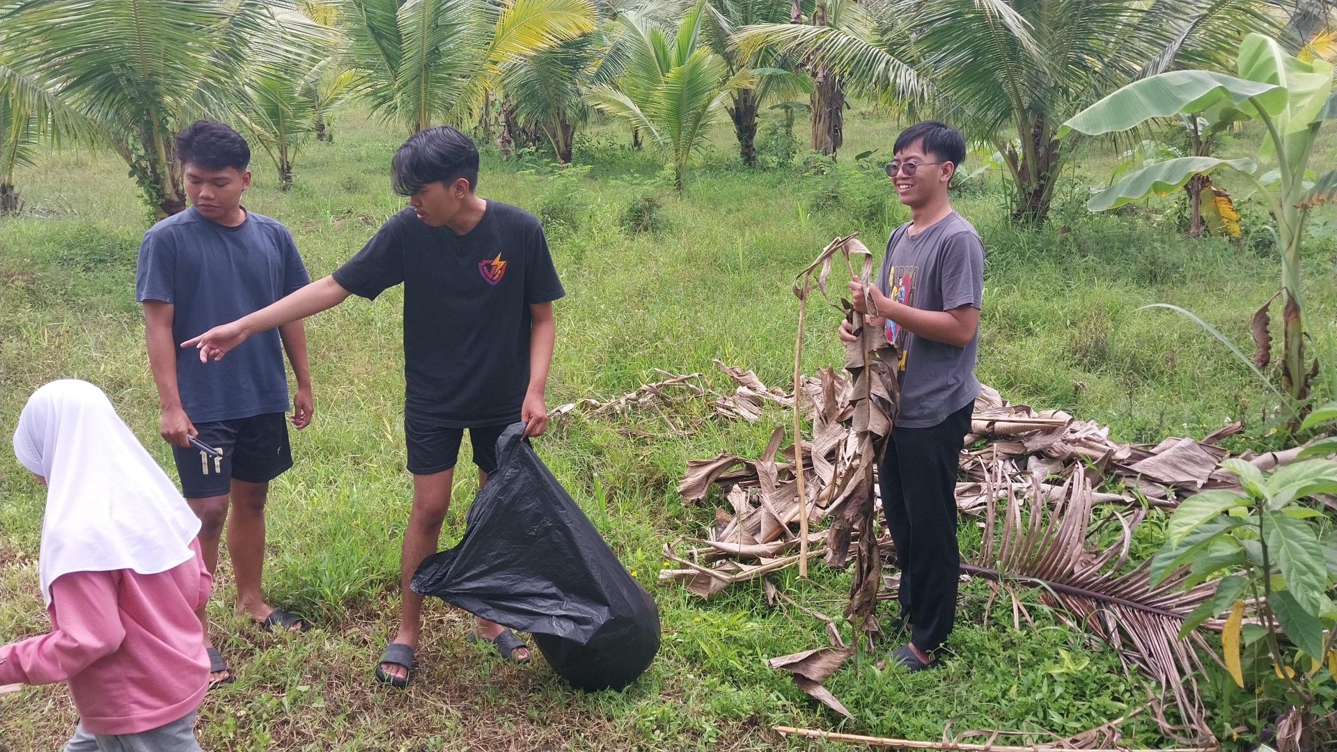 pengumpulan daun kering