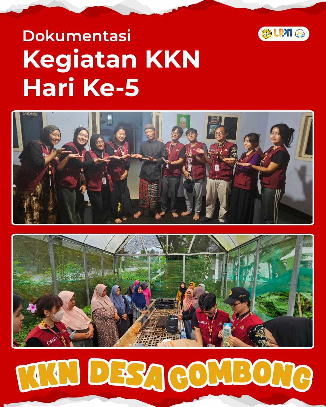 KKN Hari Ke 5 : Penyemaian Bibit Kale Kriting, Sowan Dusun 4, dan Distribusi Undangan Program Ekonomi