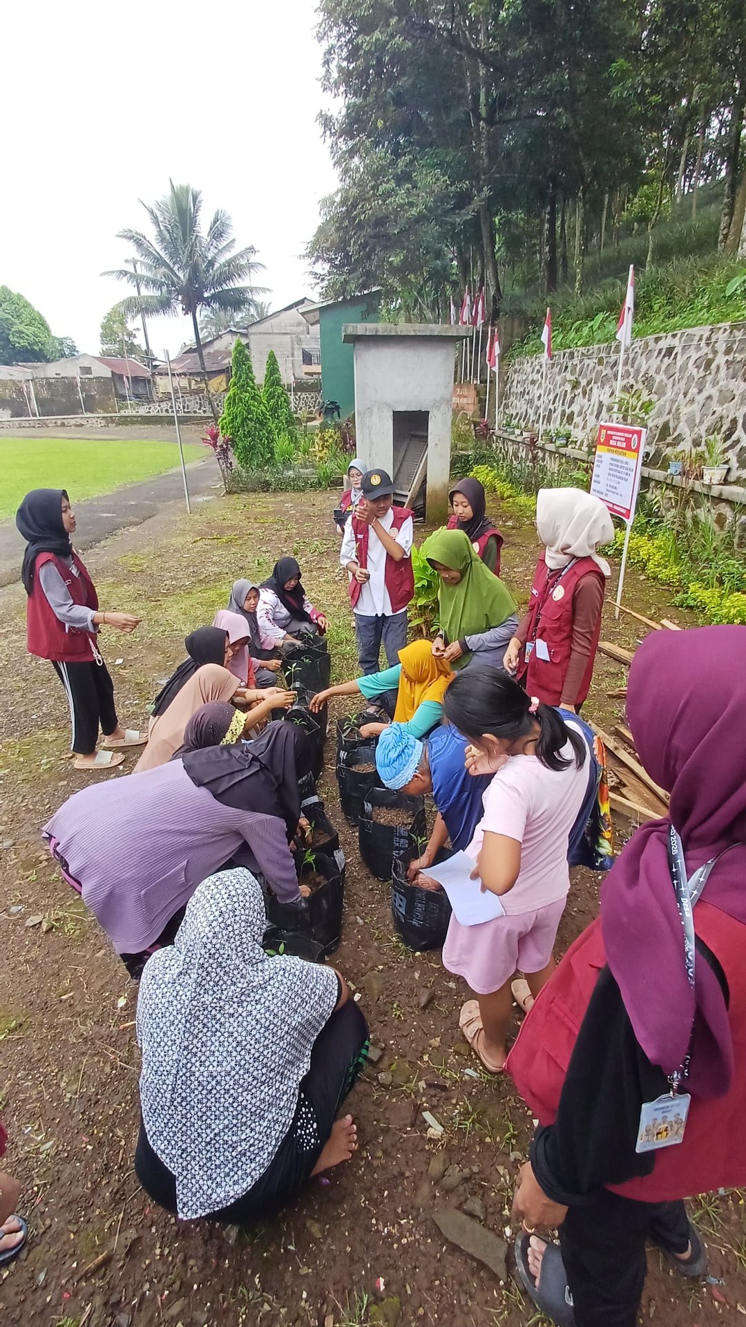 Pelaksanaan program kerja Demplot Planterbag