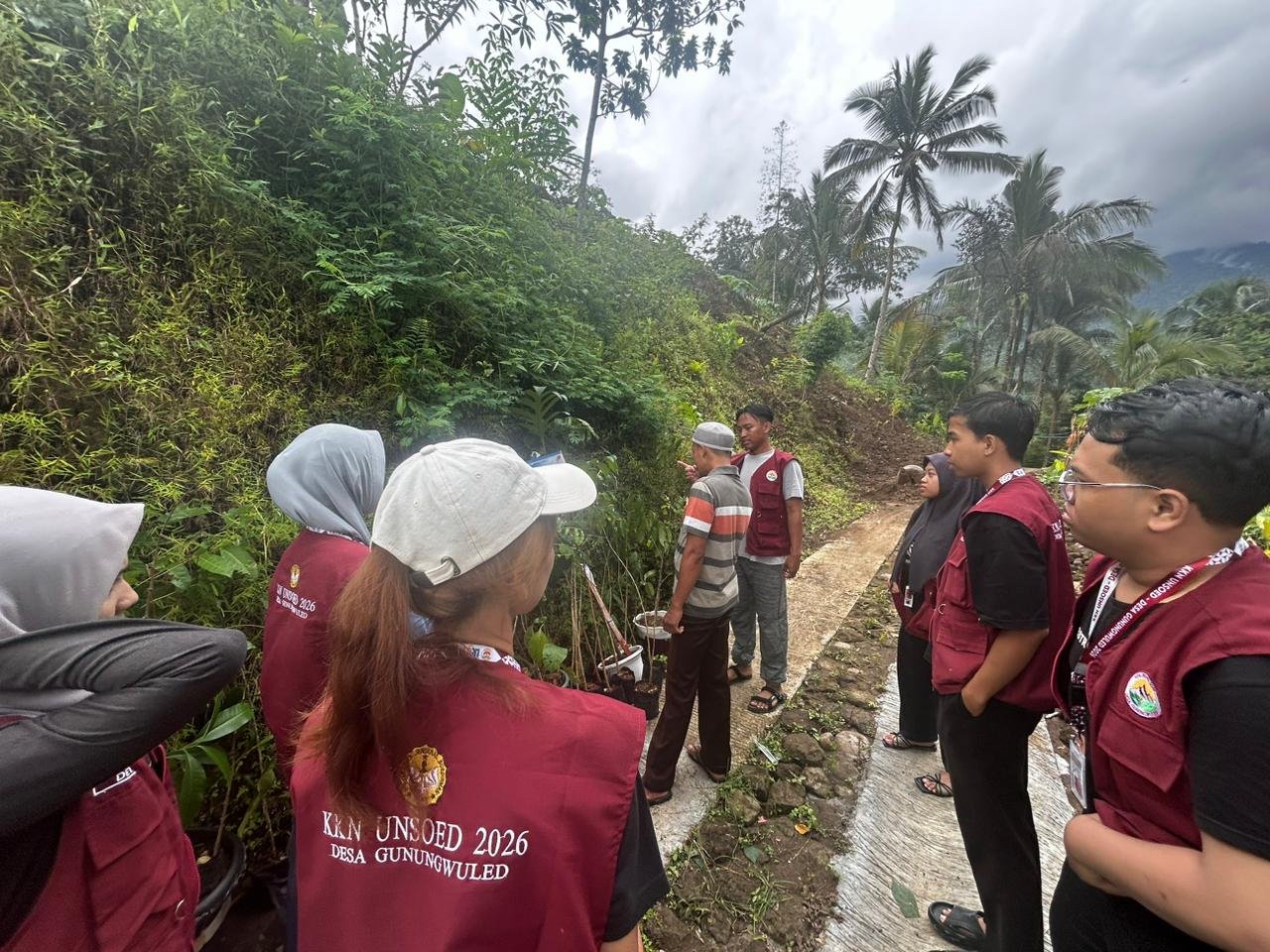 Penanaman bibit berkayu