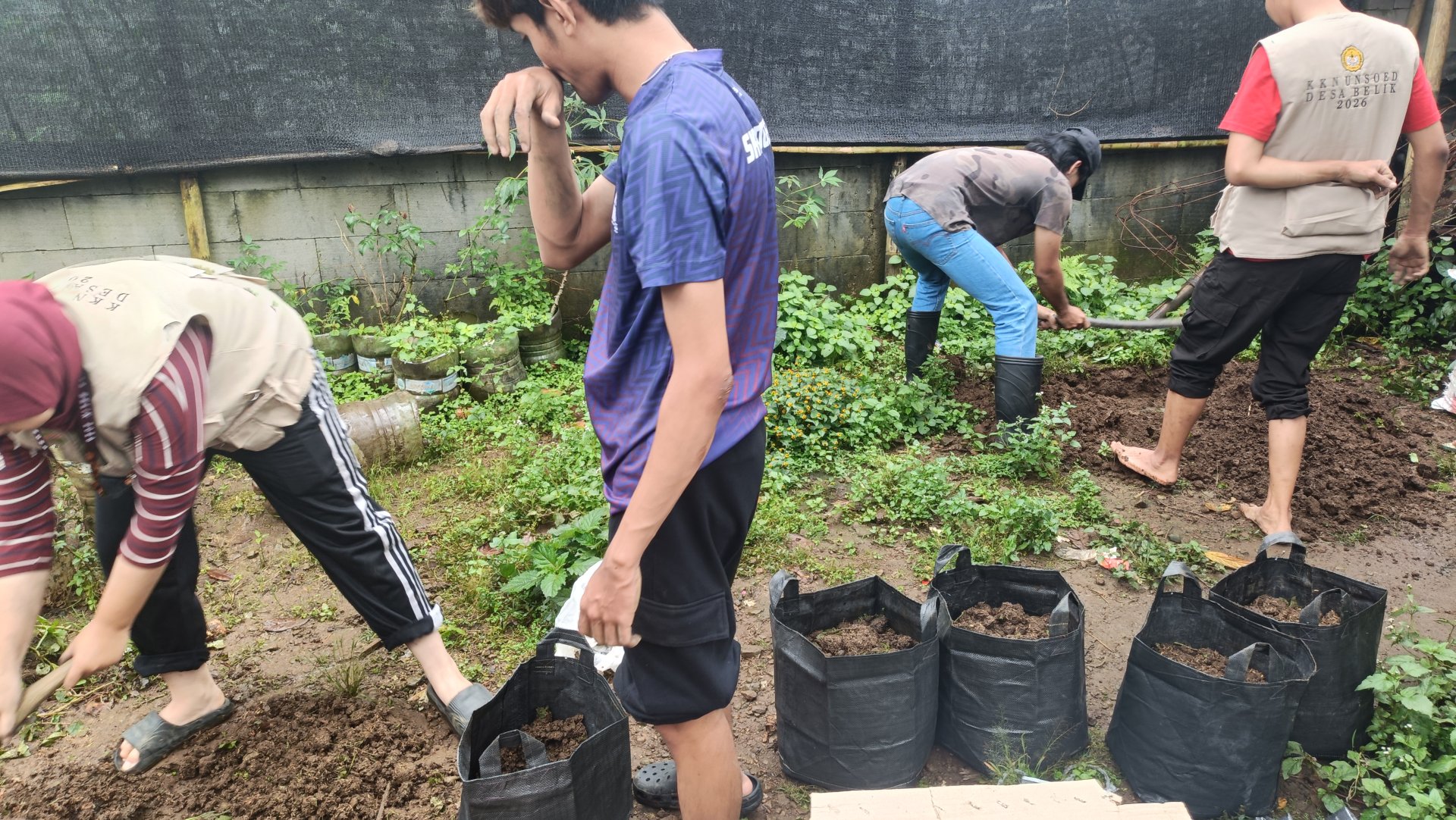 Day 5 - KKN DESA BELIK - MEMBUAT MEDIA TANAH