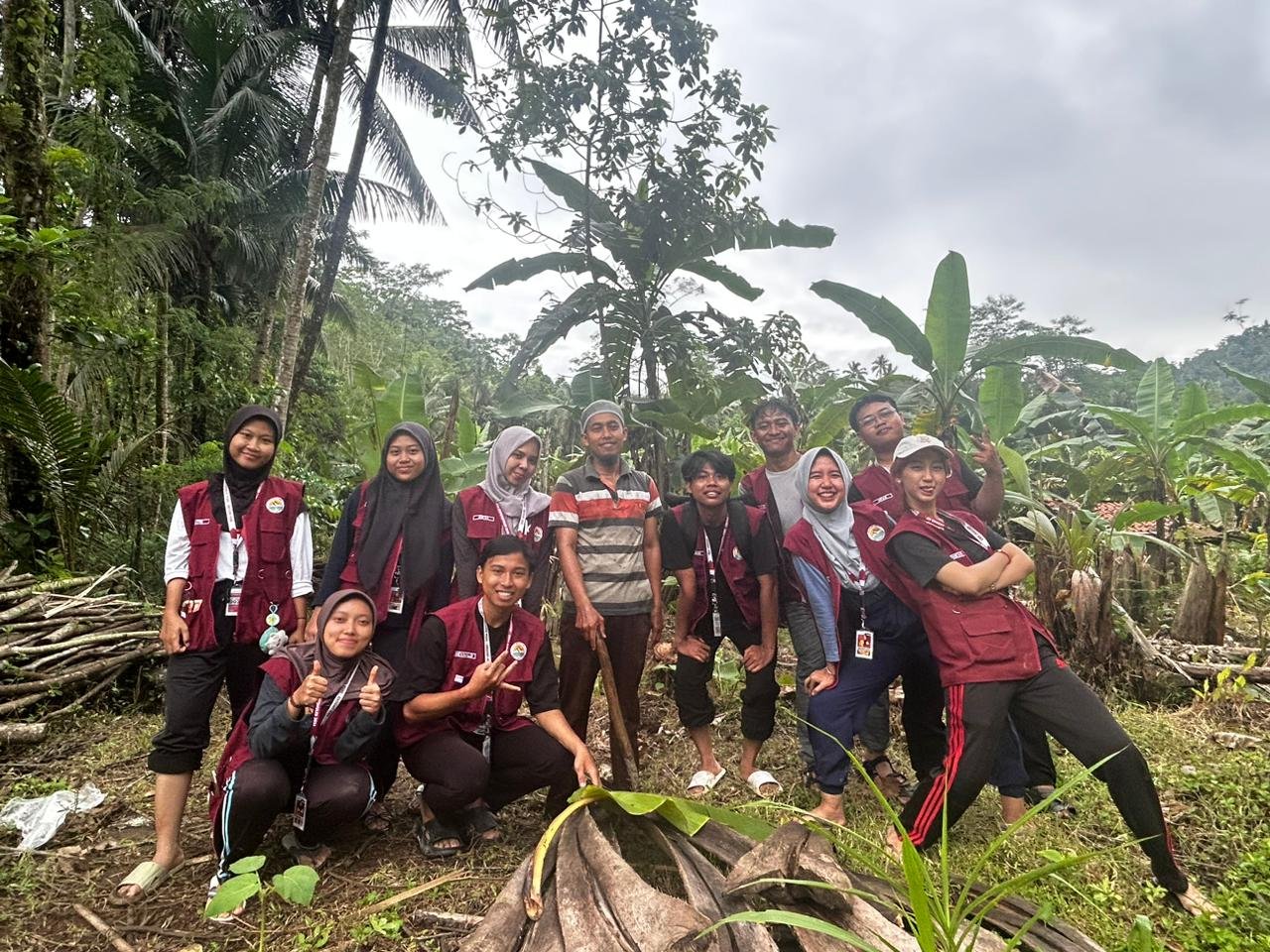 Penanaman tanaman berkayu