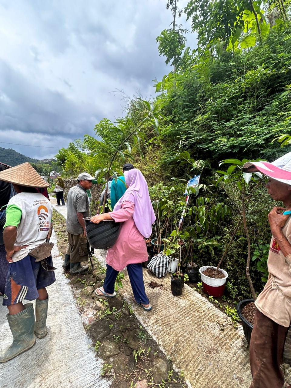 Penanaman tanaman berkayu