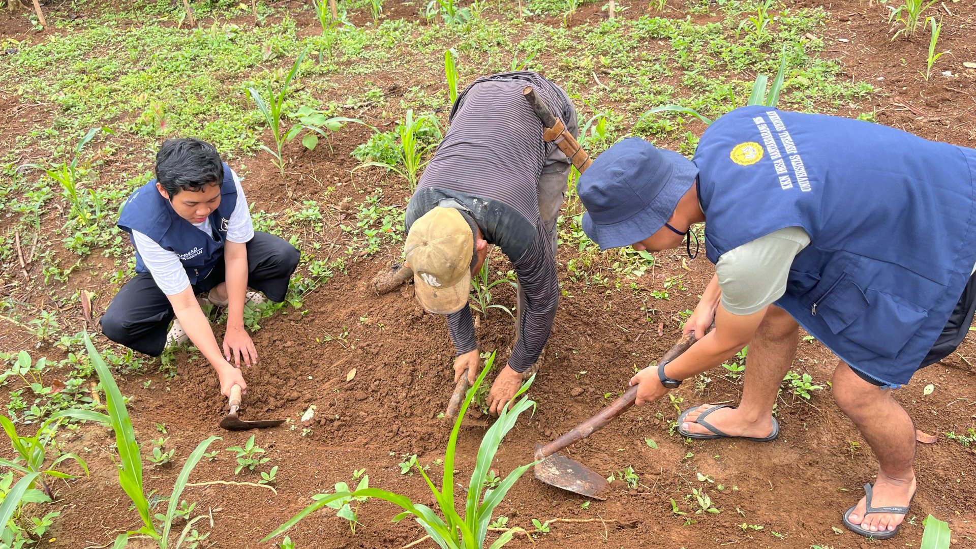 pengambilan tanah untuk program kerja intensifikasi pekarangan