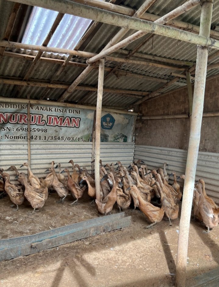 Pendampingan UMKM Telur Asin