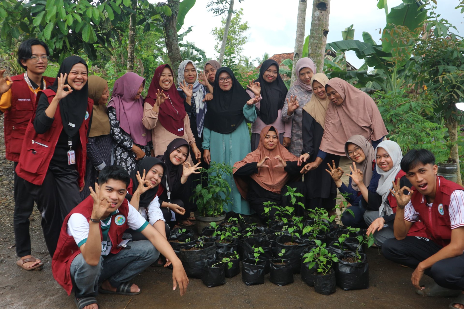 Intensifikasi Pekarangan