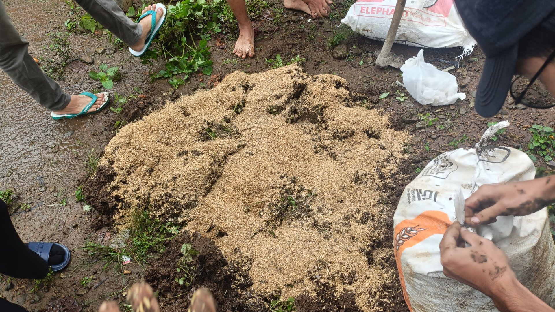 Day 5 - Persiapan media tanam Proker Intensifikasi