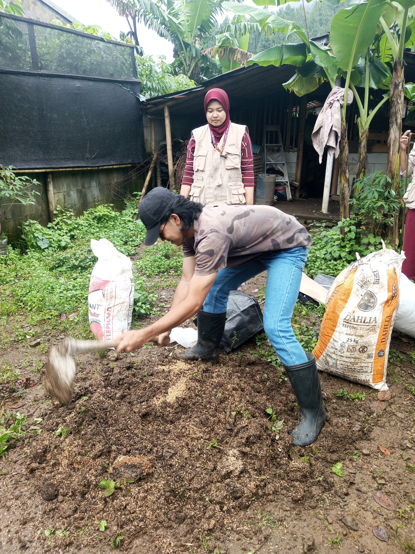 KKN Desa Belik Hari-5: Mengambil Media Tanam dan Persiapan Pemaparan Proker