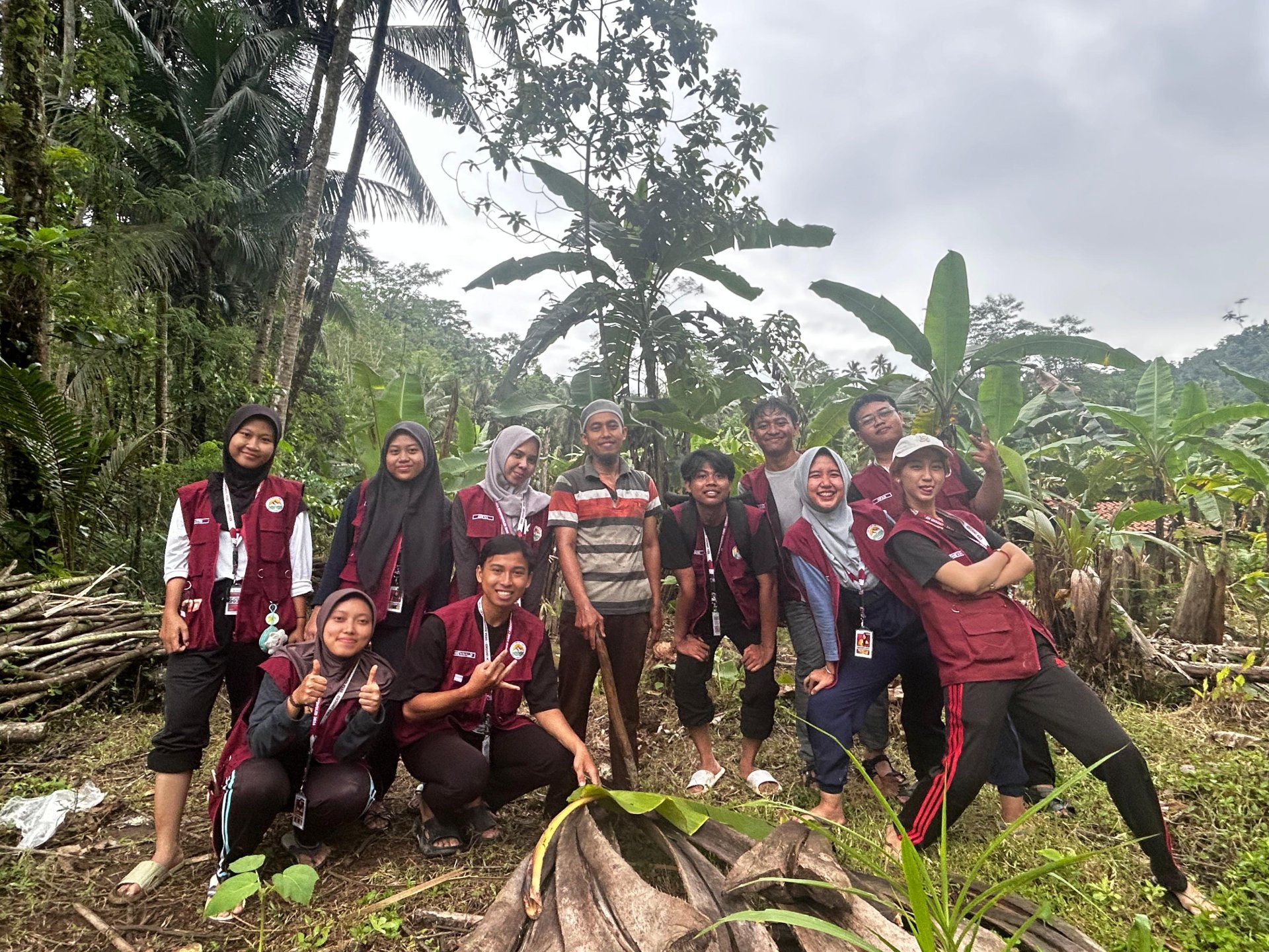 penanaman bibit pohon