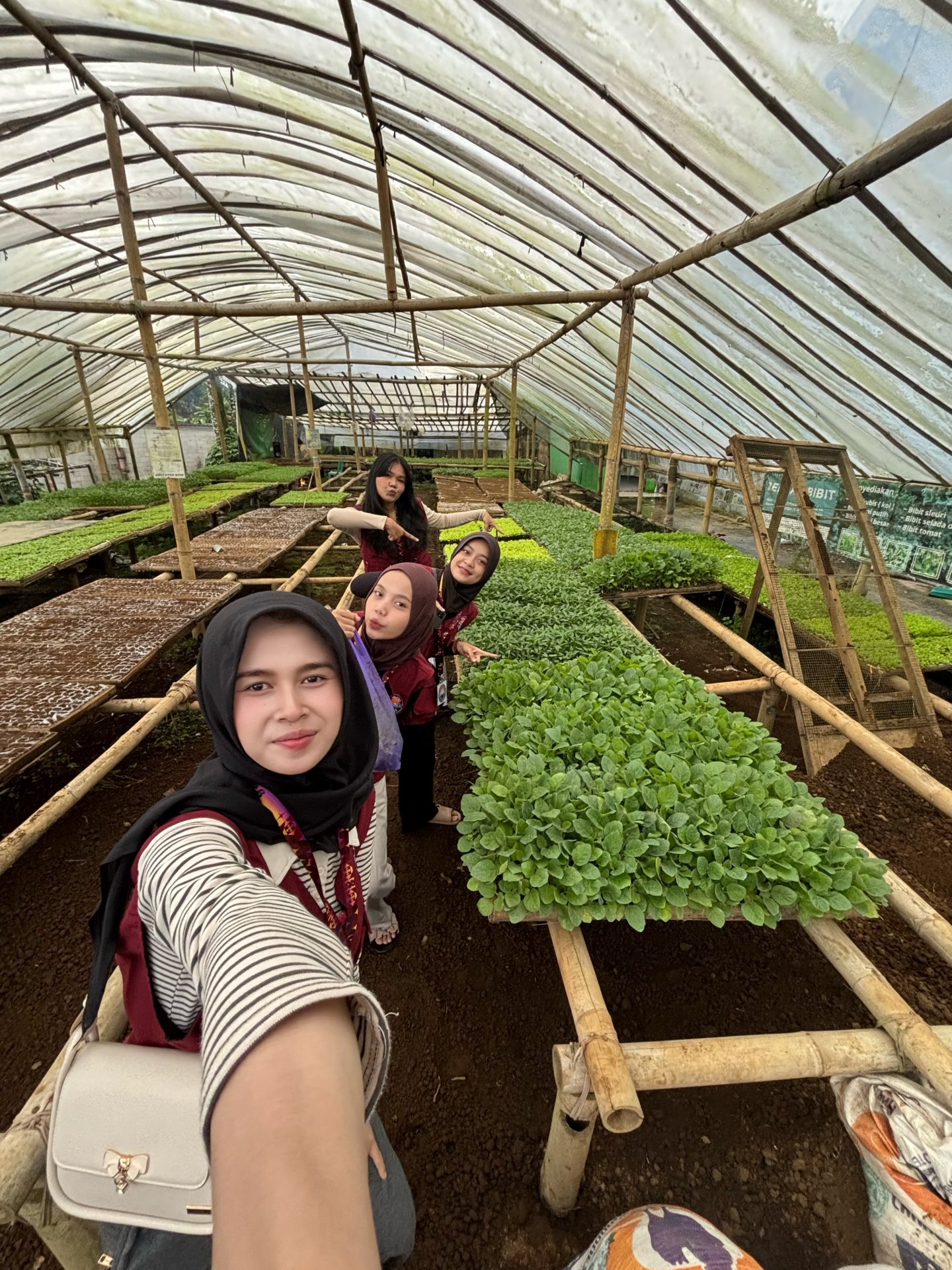 Persiapan Bibit untuk Bidang Lingkungan dan Jelajah alam